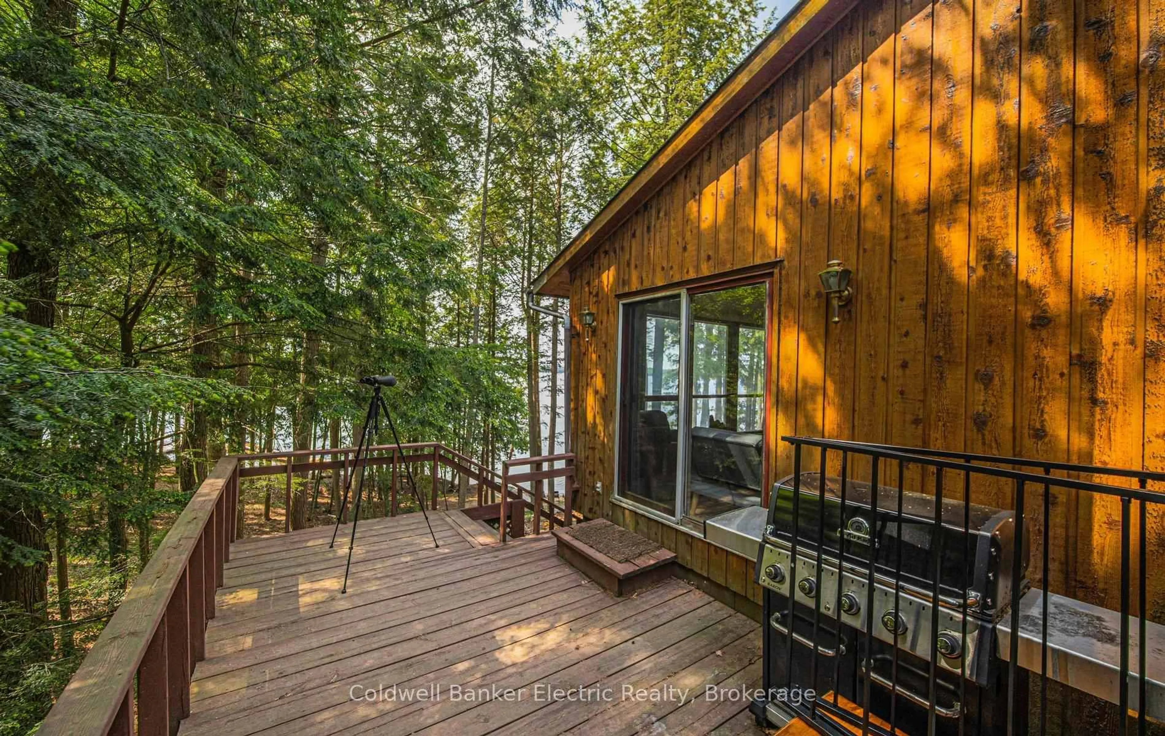 Patio, forest/trees view for 555 Fire Route 50, North Kawartha Ontario K0L 1A0
