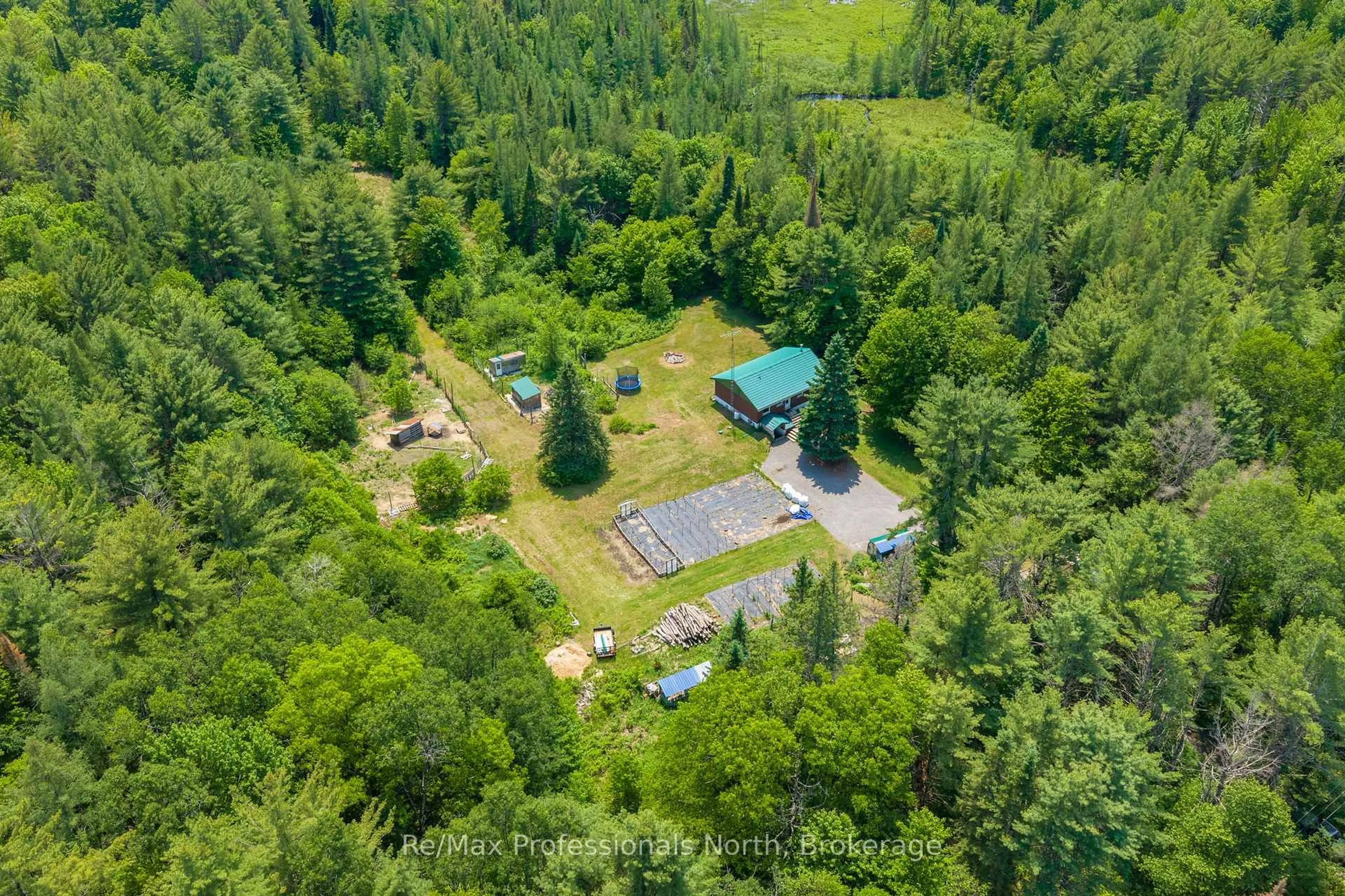 A pic from outside/outdoor area/front of a property/back of a property/a pic from drone, forest/trees view for 163 Rose Lake Rd, Huntsville Ontario P0B 1M0