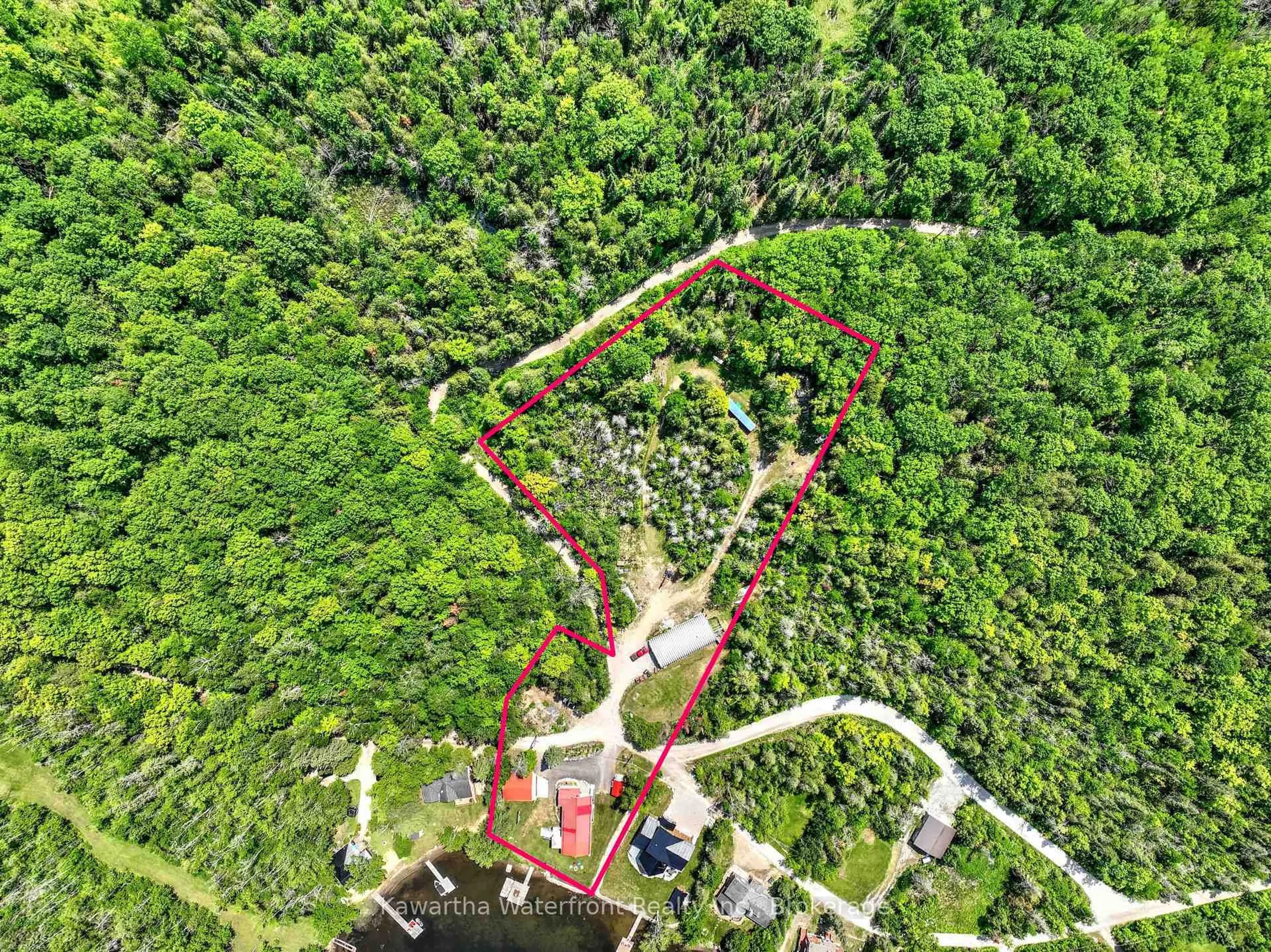 A pic from outside/outdoor area/front of a property/back of a property/a pic from drone, forest/trees view for 32 Shadow Lake Road 2 Rd, Kawartha Lakes Ontario K0M 2L0