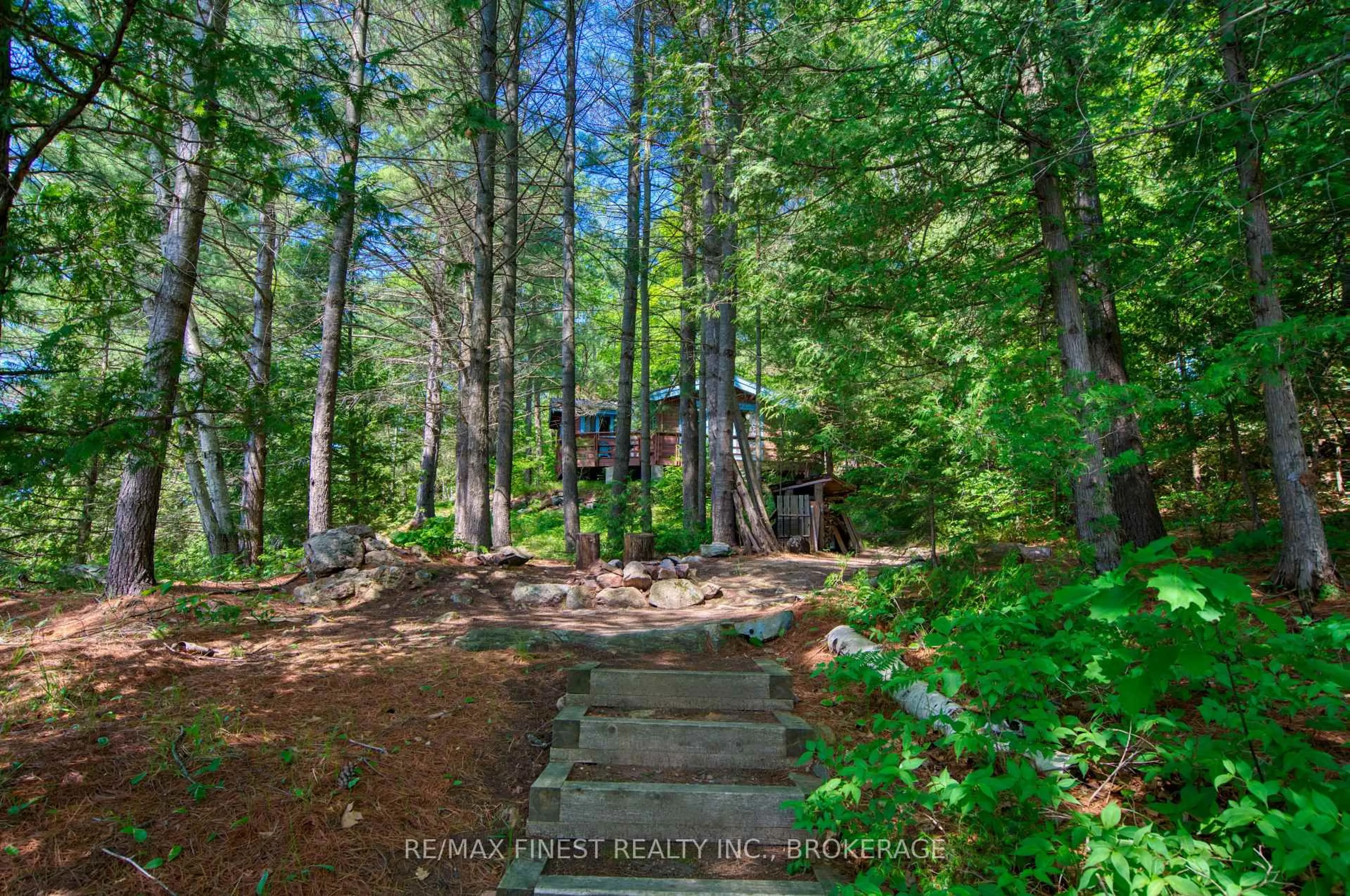 A pic from outside/outdoor area/front of a property/back of a property/a pic from drone, forest/trees view for 1029 Oak Lane North, Sharbot Lake Ontario K0H 2P0