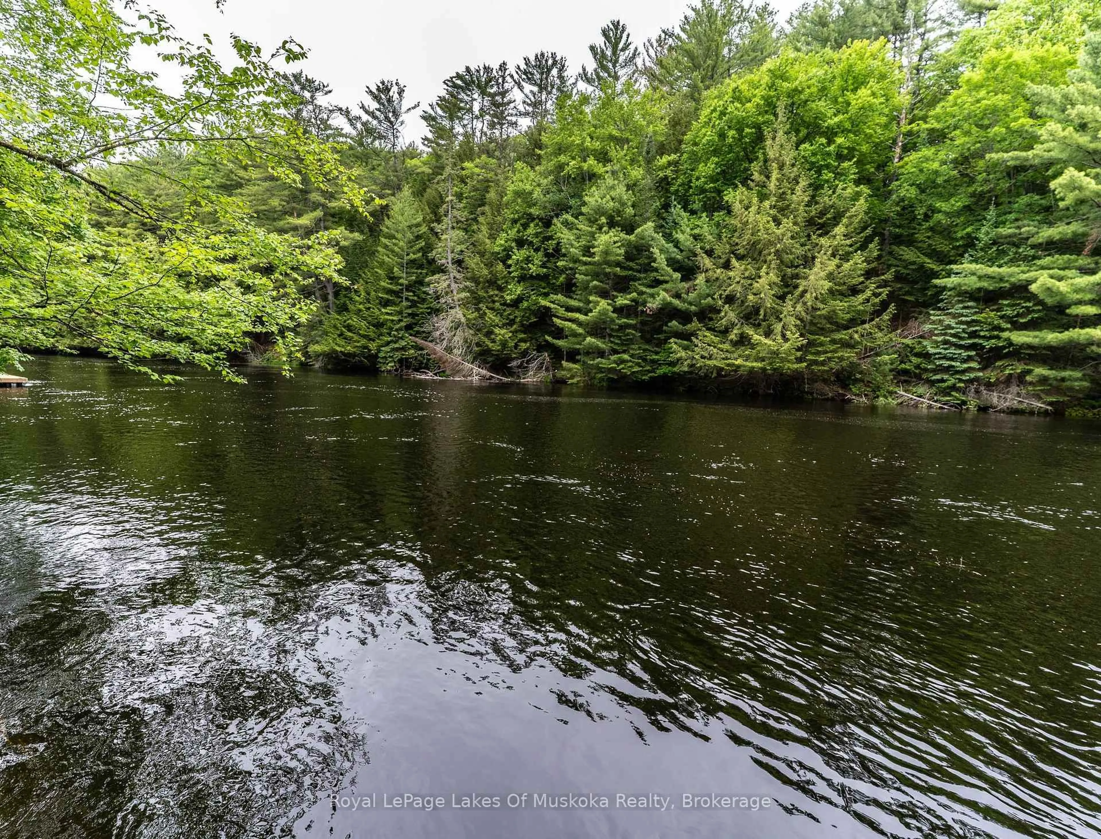 Blurry image for 1136 Springdale Shores Private, Bracebridge Ontario P1L 1W9