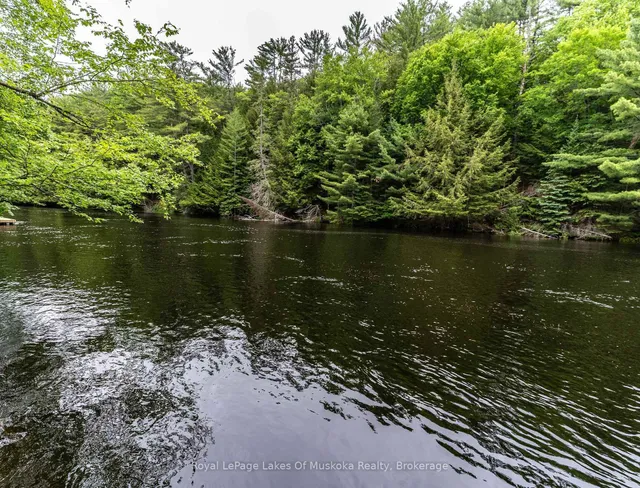 1136 Springdale Shores Private, Bracebridge 3