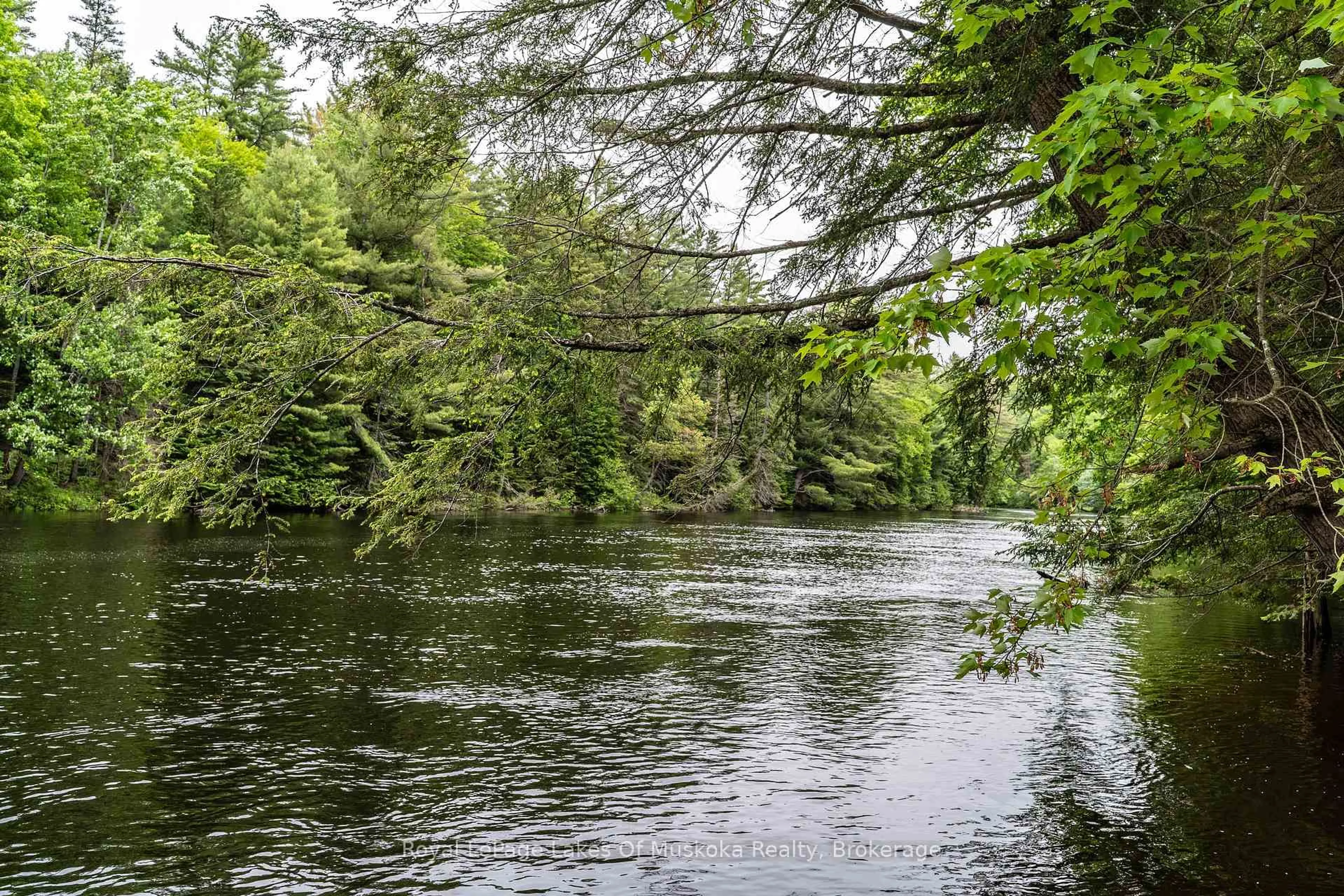 Blurry image for 1136 Springdale Shores Private, Bracebridge Ontario P1L 1W9