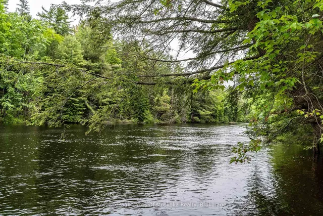 1136 Springdale Shores Private, Bracebridge 4