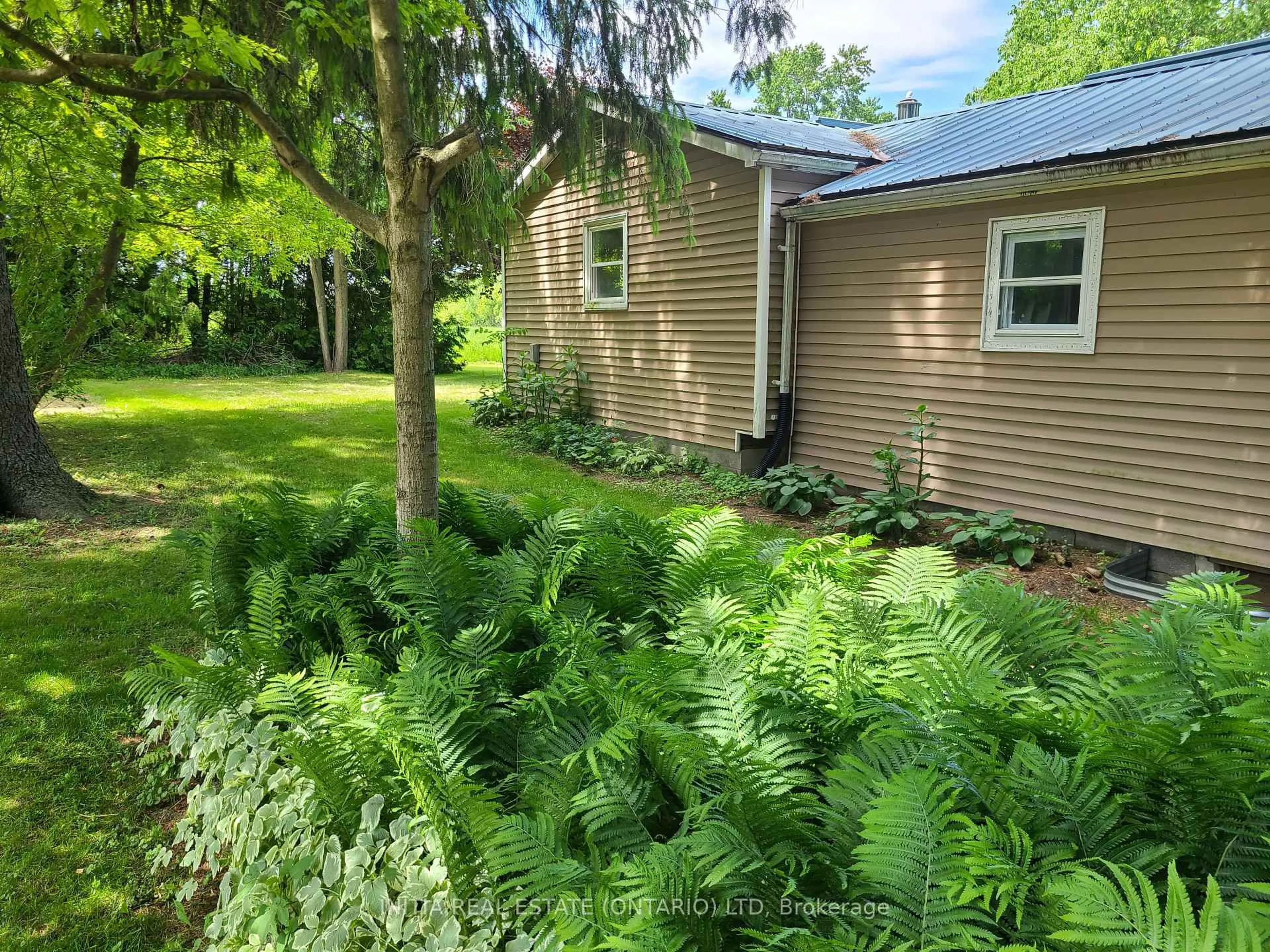 A pic from outside/outdoor area/front of a property/back of a property/a pic from drone, forest/trees view for 1 Dundas St, Newbury Ontario N0L 1Z0