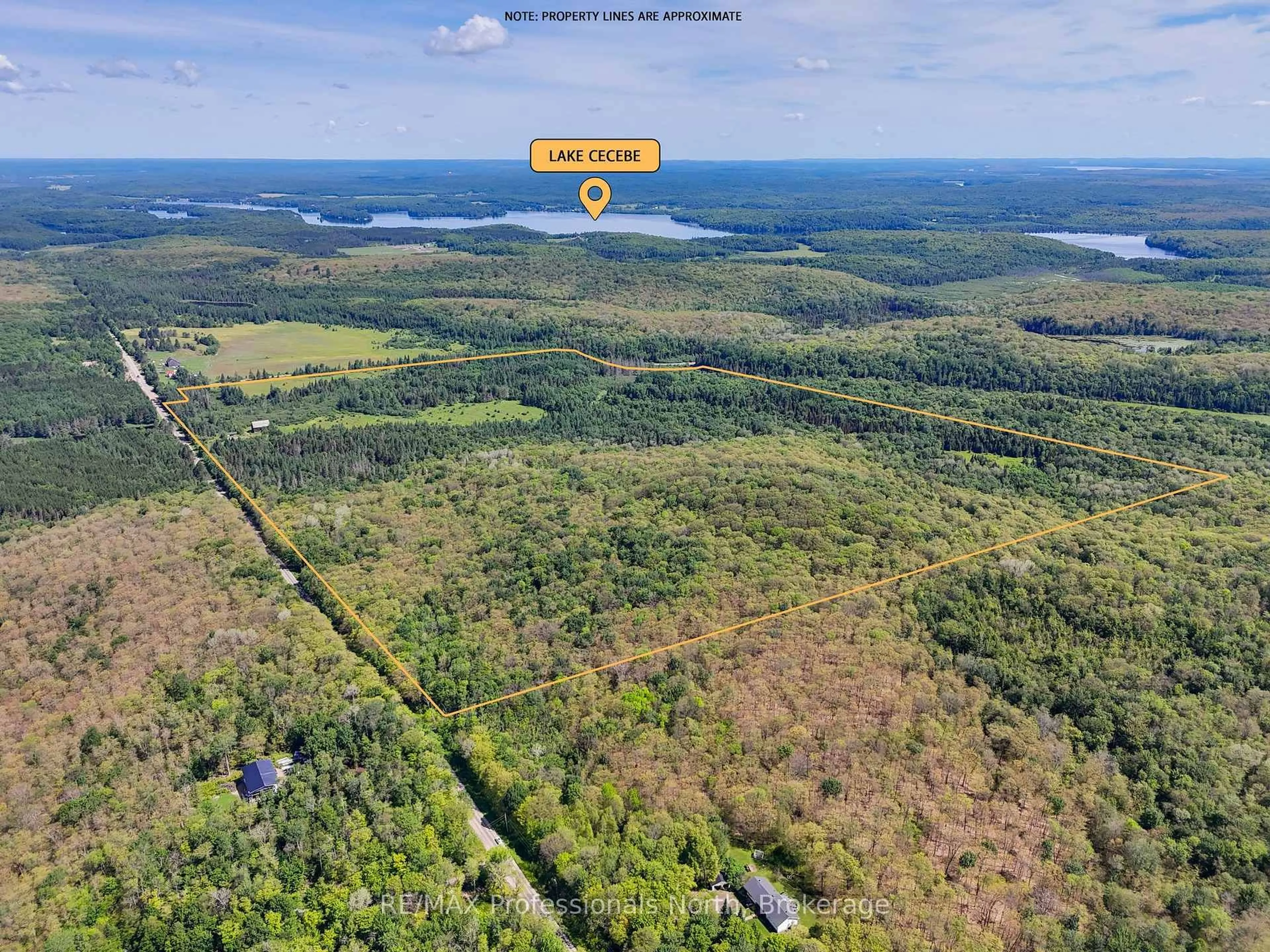 A pic from outside/outdoor area/front of a property/back of a property/a pic from drone, forest/trees view for 905 Starratt Rd, Ryerson Ontario P0A 1C0