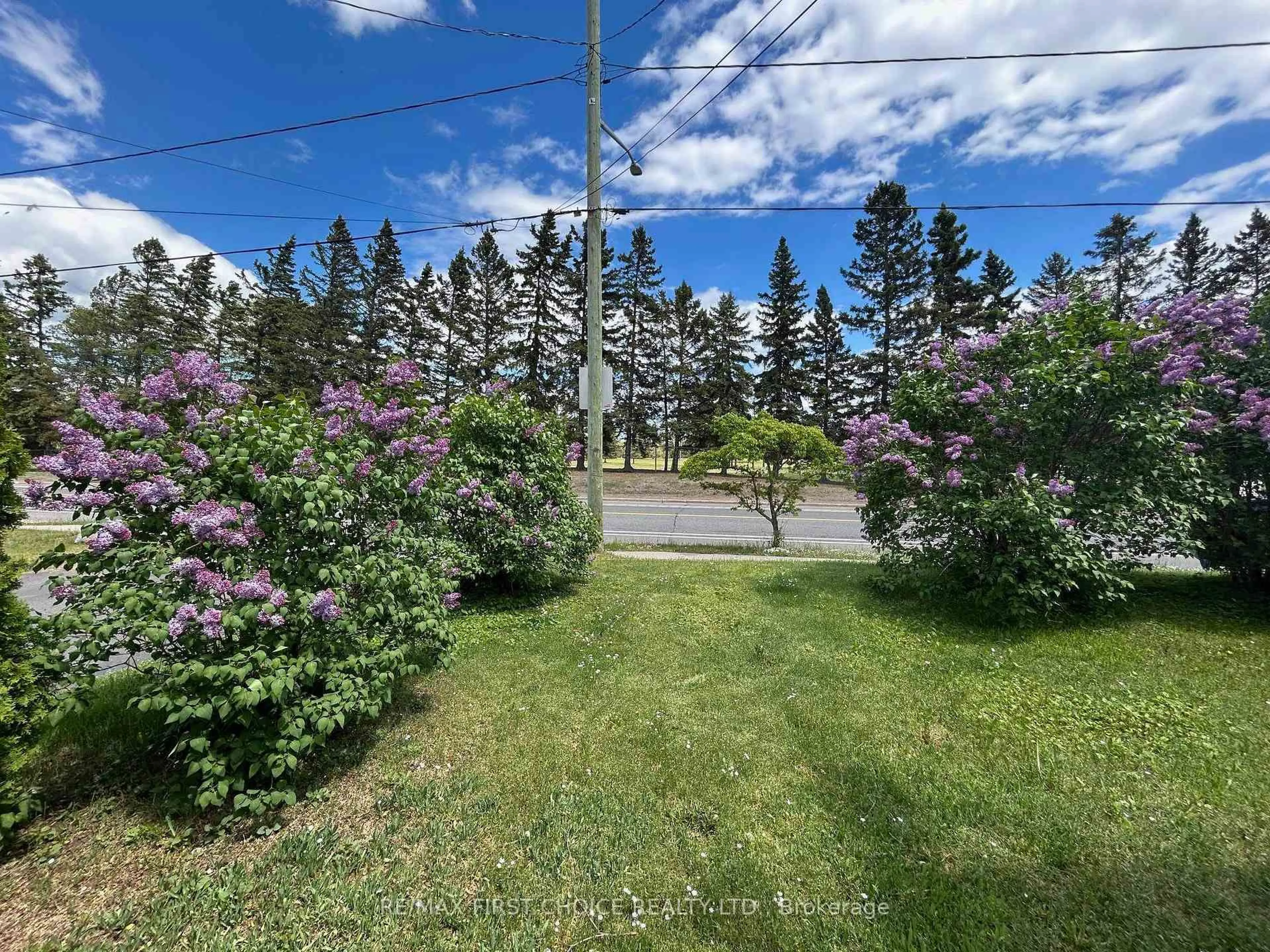 A pic from outside/outdoor area/front of a property/back of a property/a pic from drone, forest/trees view for 523 Hodder Ave, Thunder Bay Ontario P7A 1V6