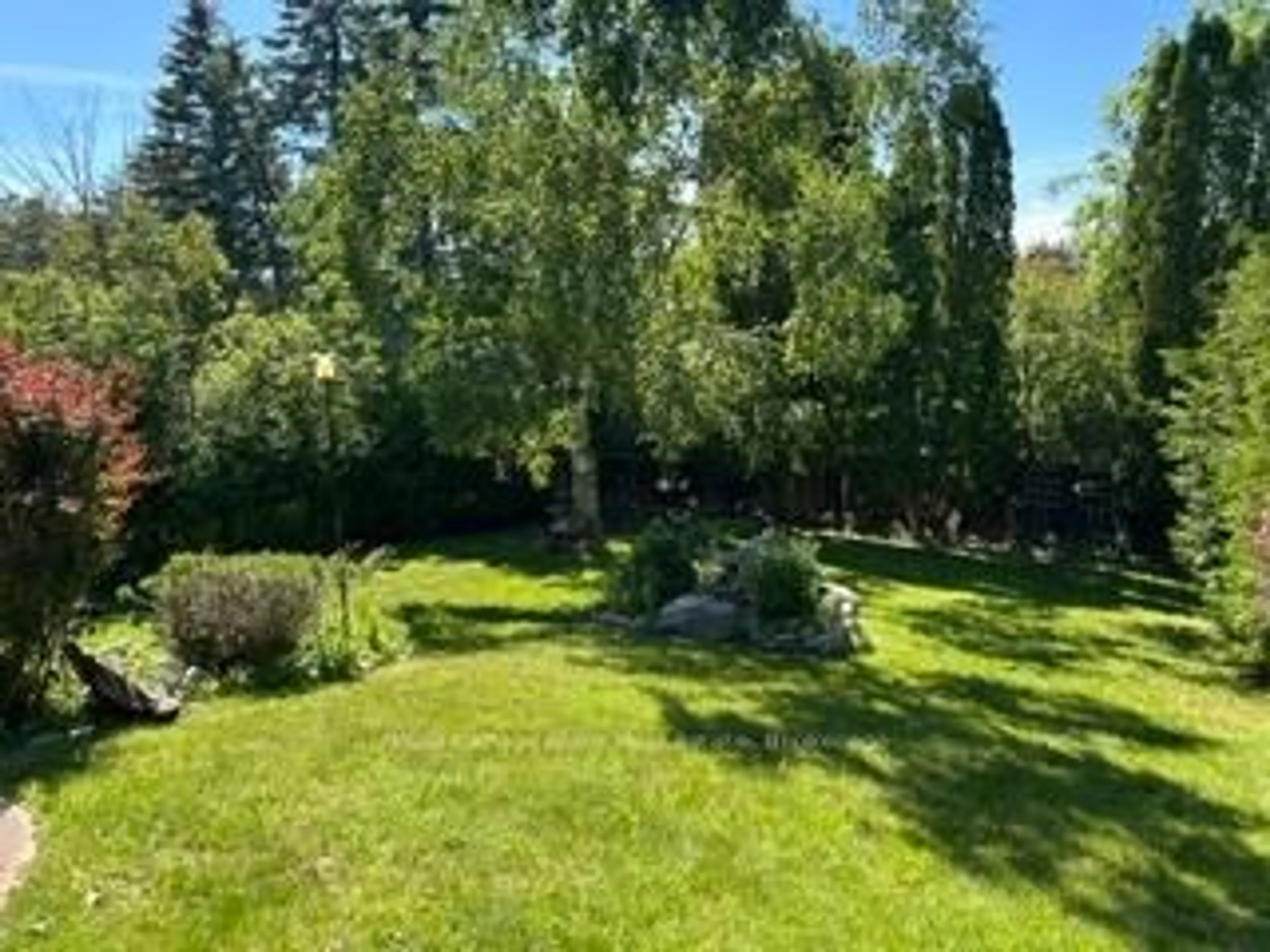 A pic from outside/outdoor area/front of a property/back of a property/a pic from drone, forest/trees view for 87 Oakwood Cres, Peterborough Ontario K9J 1N2