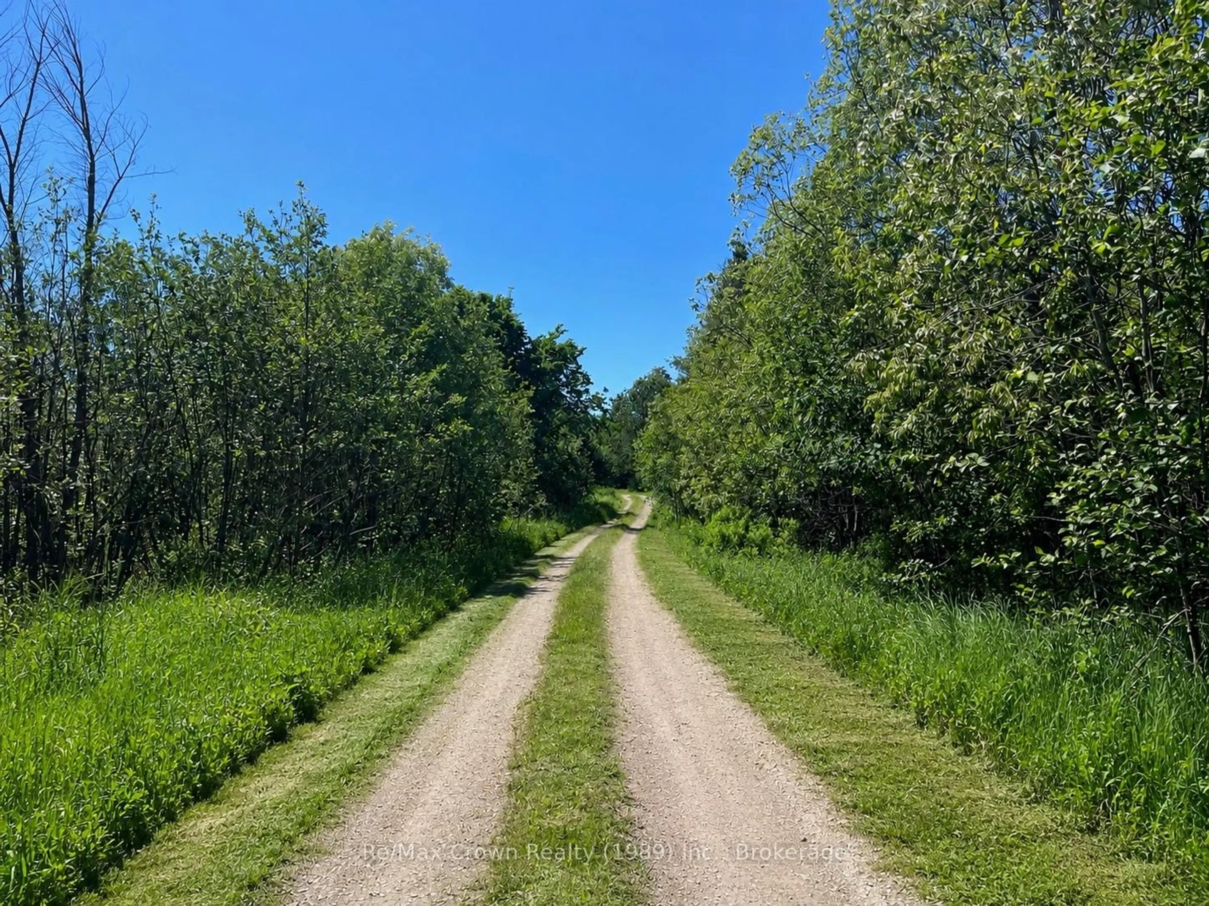 A pic from outside/outdoor area/front of a property/back of a property/a pic from drone, forest/trees view for 5 20th Side Rd, Parry Sound Remote Area Ontario P0H 1Y0