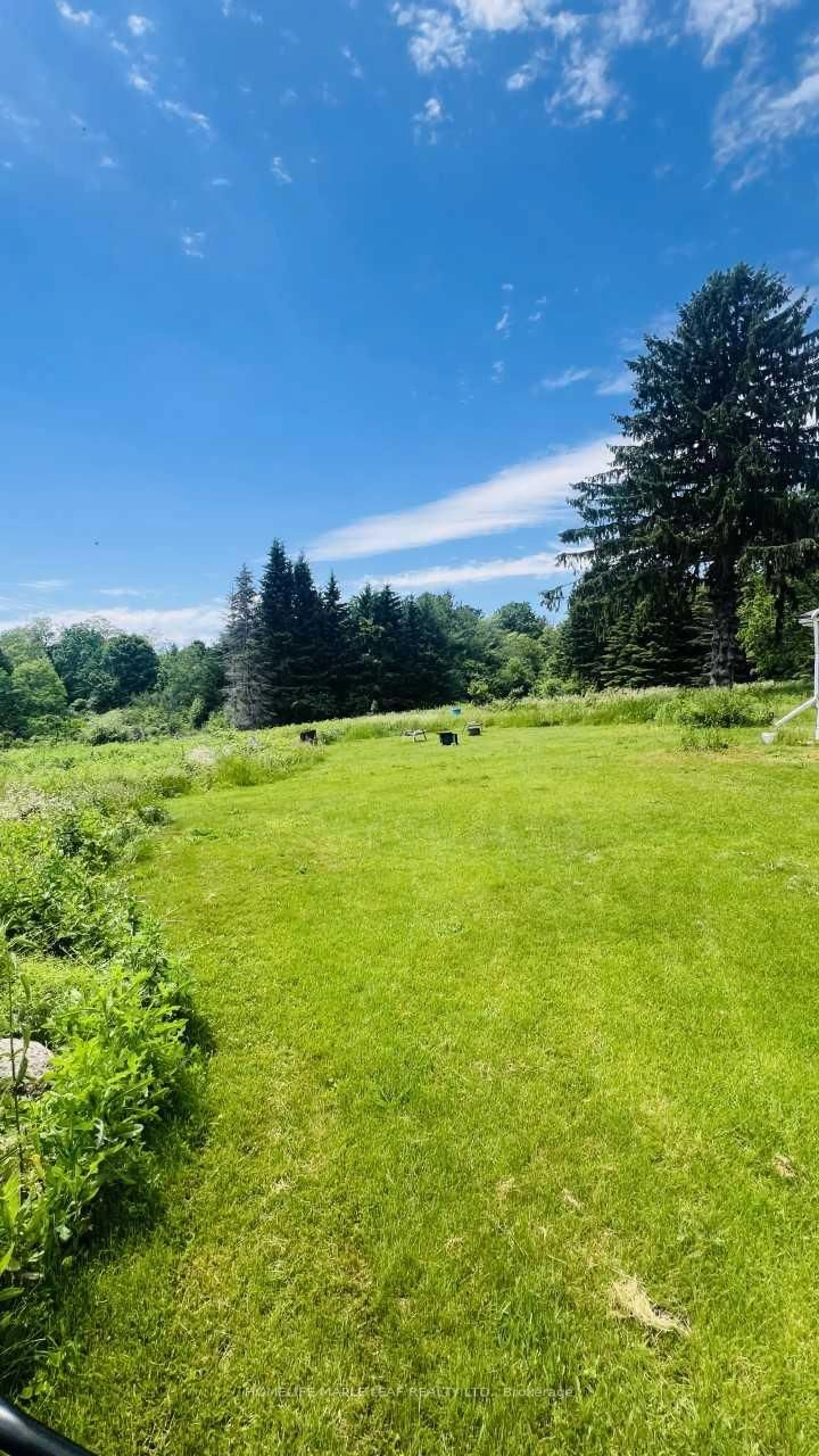 A pic from outside/outdoor area/front of a property/back of a property/a pic from drone, forest/trees view for 9340 Danforth Rd, Cobourg Ontario K9A 4J8