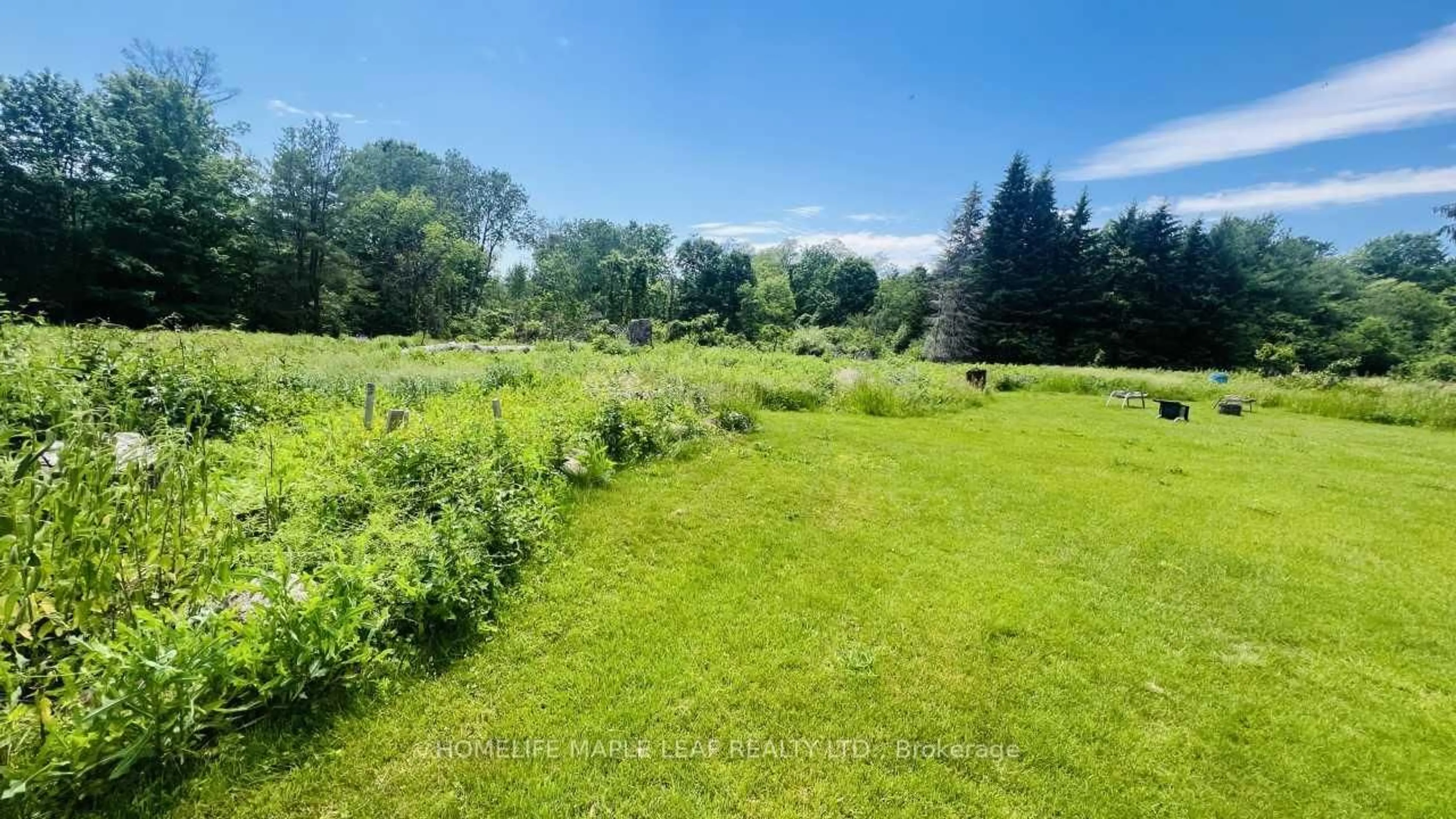 A pic from outside/outdoor area/front of a property/back of a property/a pic from drone, forest/trees view for 9340 Danforth Rd, Cobourg Ontario K9A 4J8