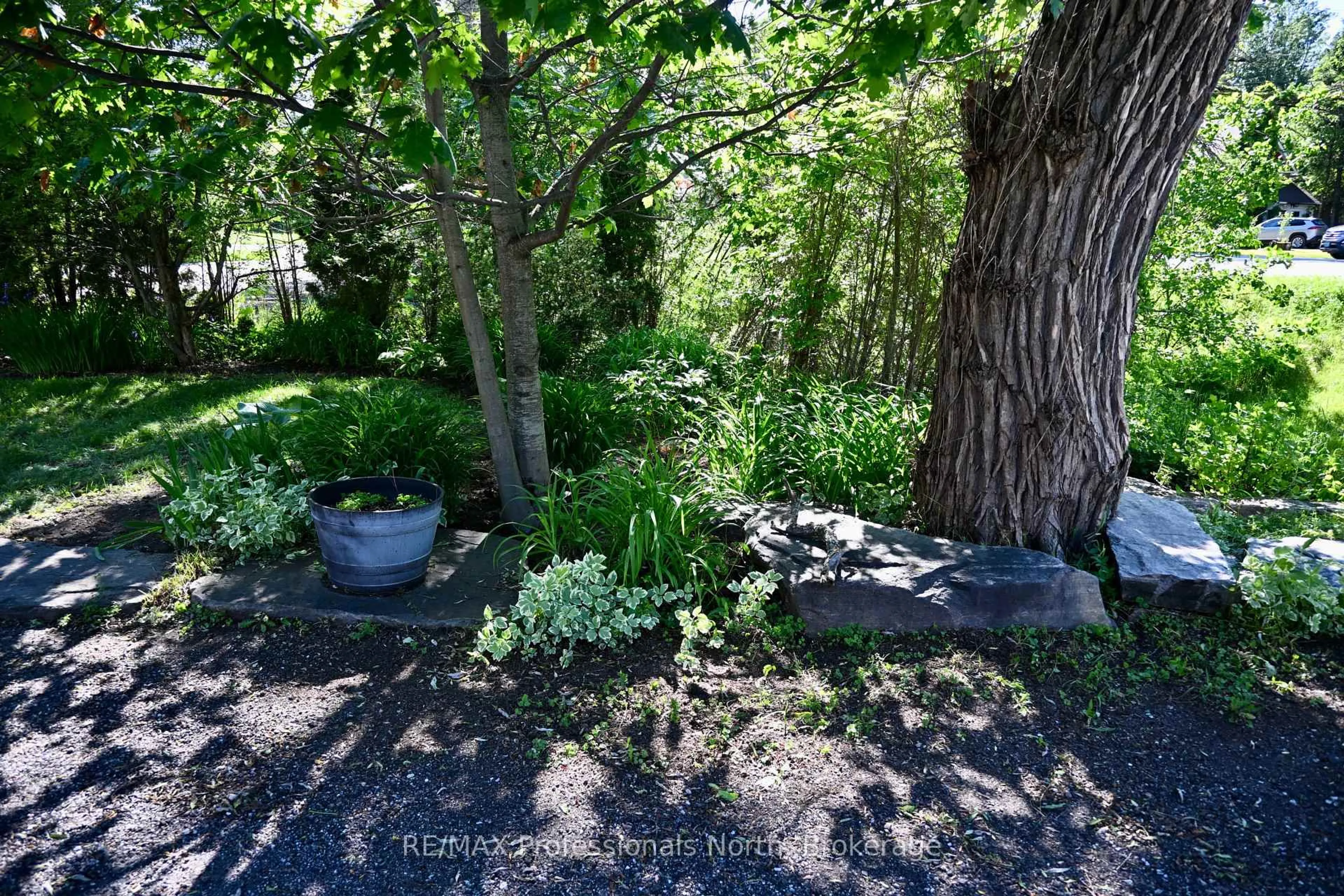 A pic from outside/outdoor area/front of a property/back of a property/a pic from drone, forest/trees view for 77 Hanes Rd, Huntsville Ontario P1H 1M3
