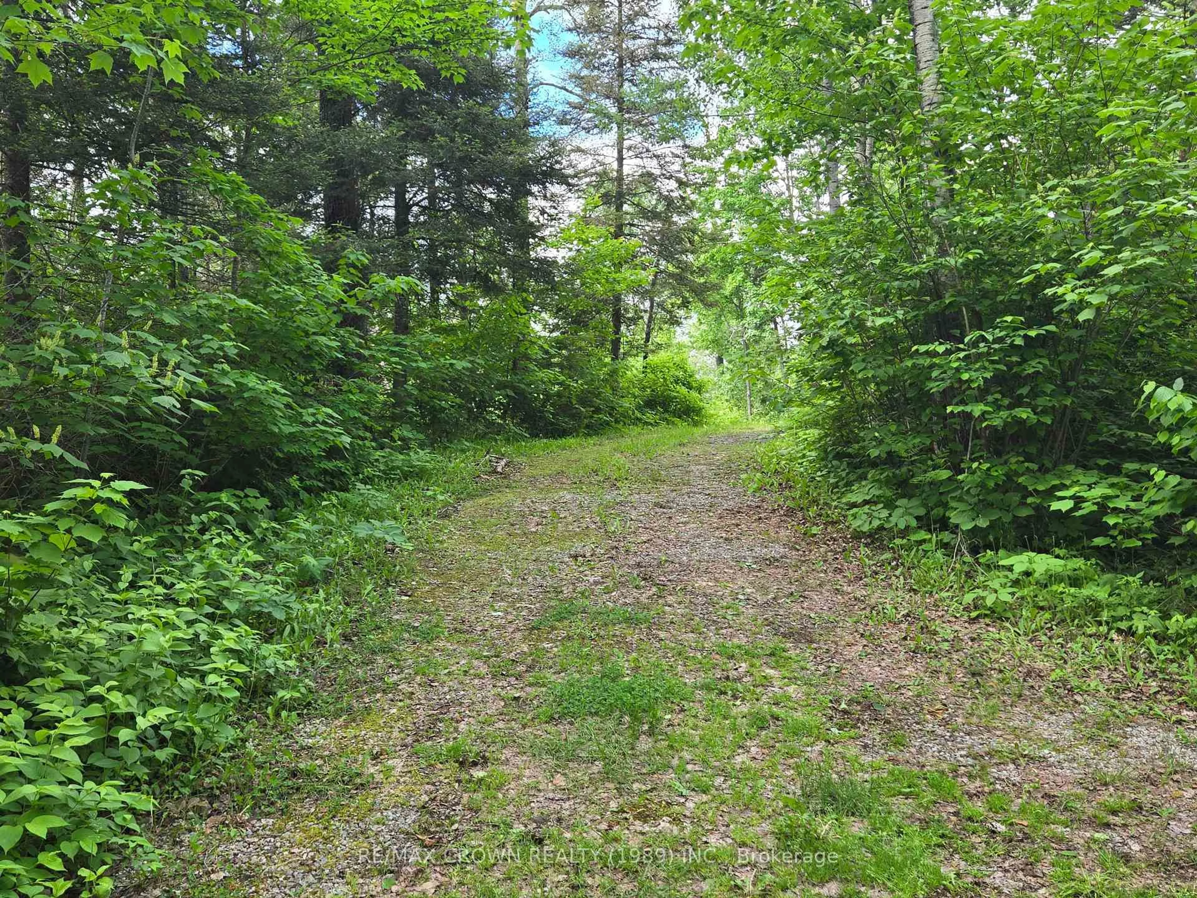 Unknown for 127 White Pine Rd, Unorganized Townships Ontario P0H 2K0