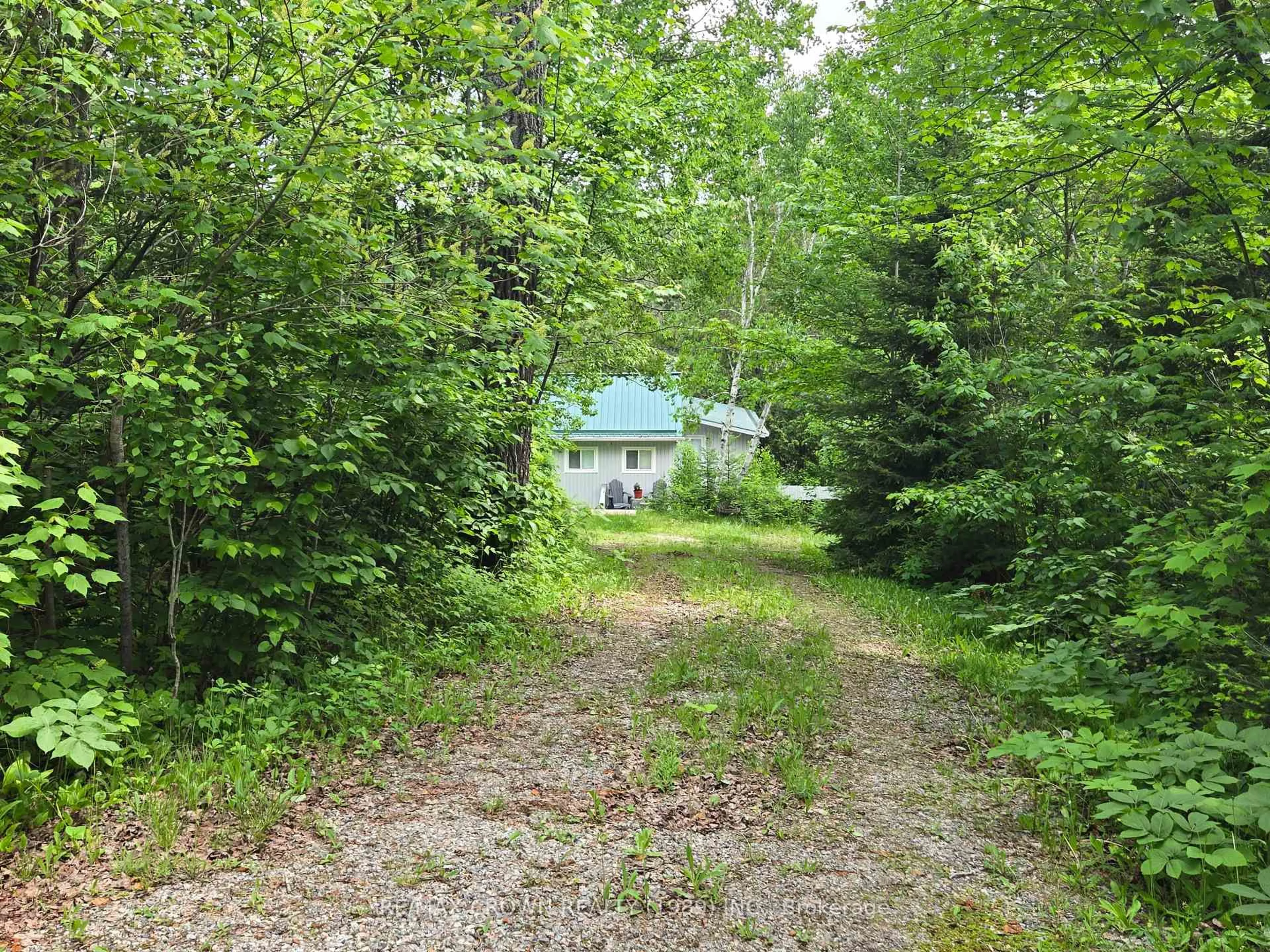 Shed for 127 White Pine Rd, Unorganized Townships Ontario P0H 2K0