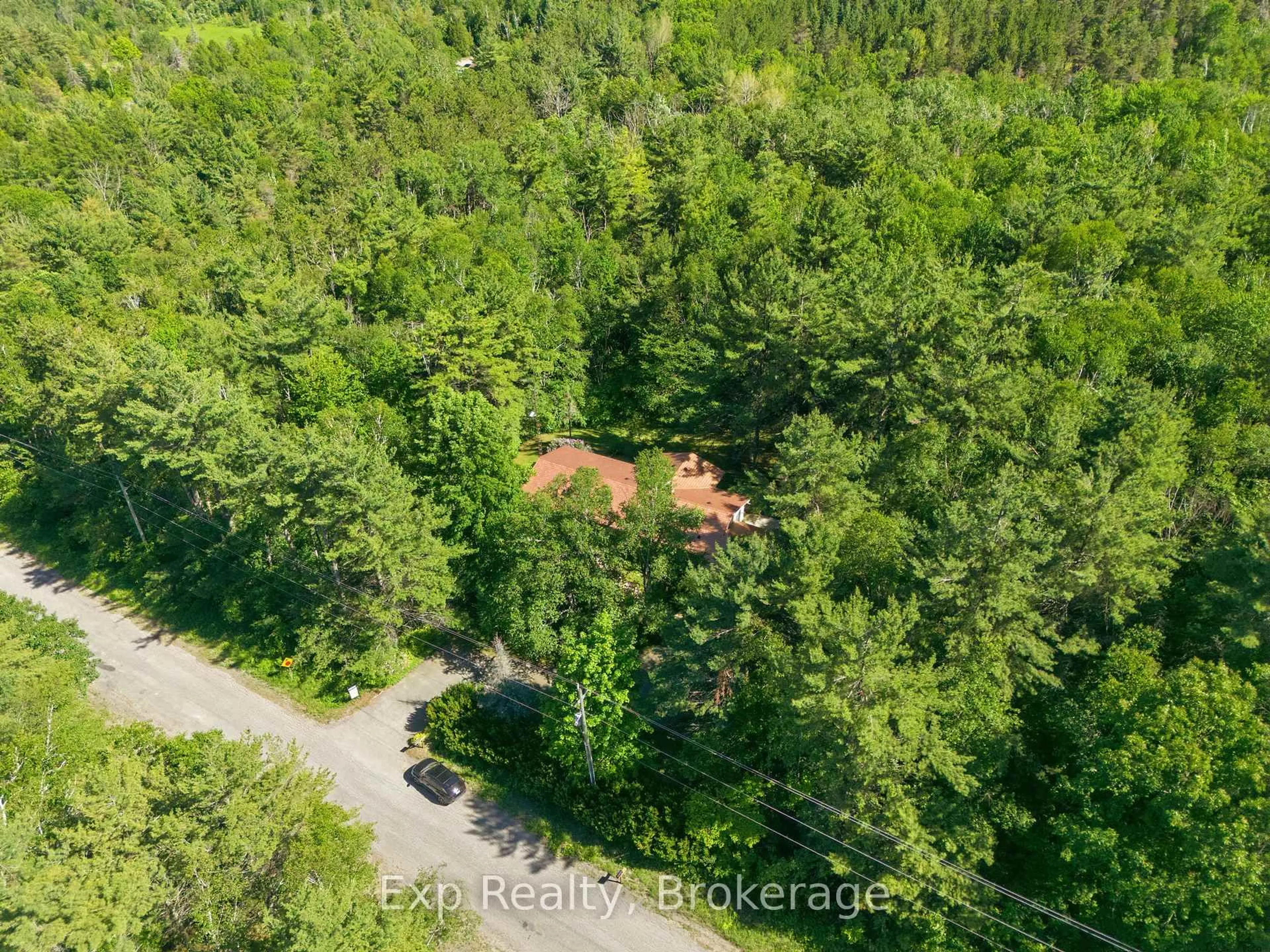 A pic from outside/outdoor area/front of a property/back of a property/a pic from drone, forest/trees view for 149 Simpson Hill Rd, Alnwick/Haldimand Ontario K0K 2X0