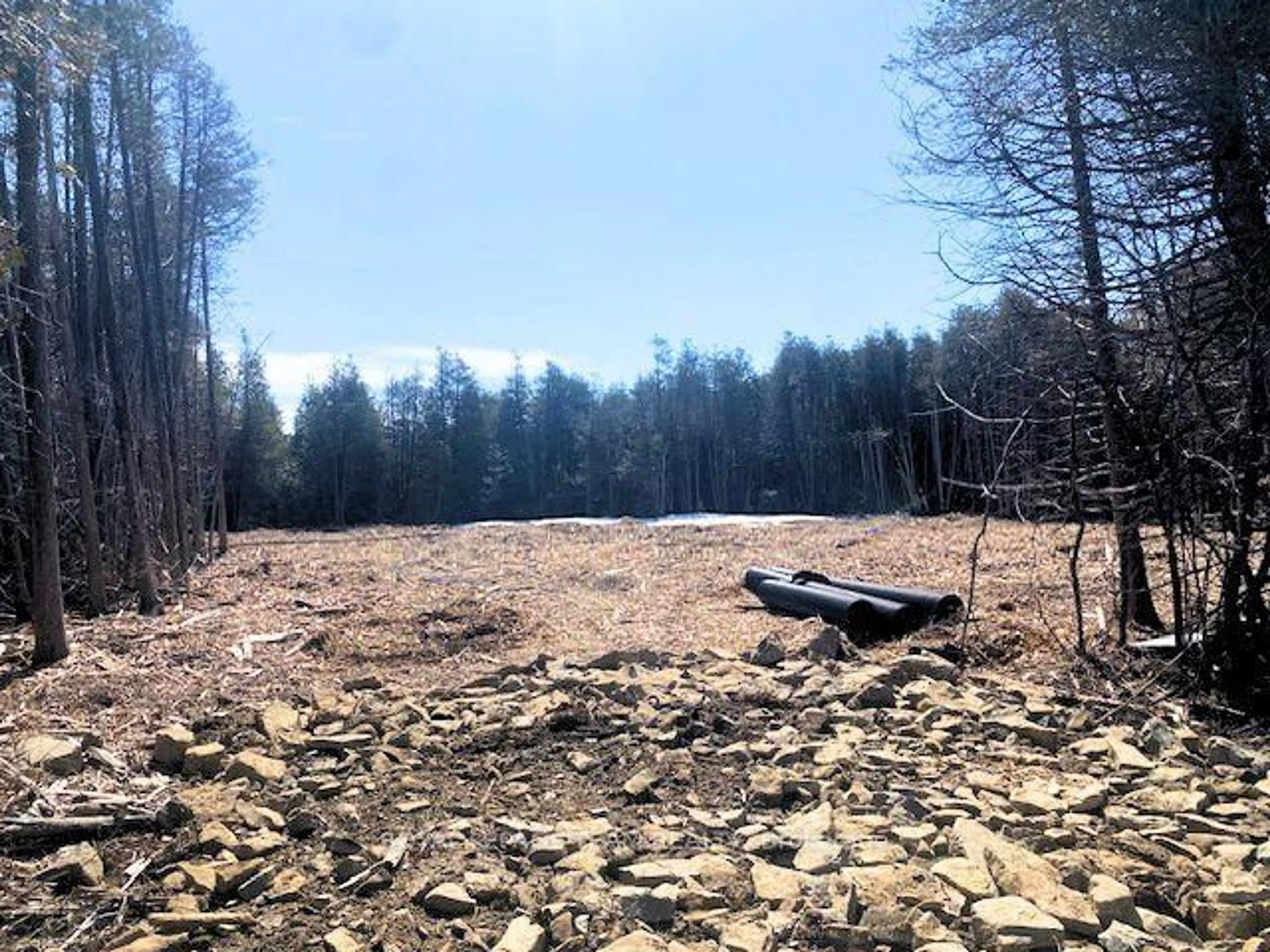 Unknown for LT 2 ARMSTRONG Rd, Merrickville-Wolford Ontario K0G 1N0
