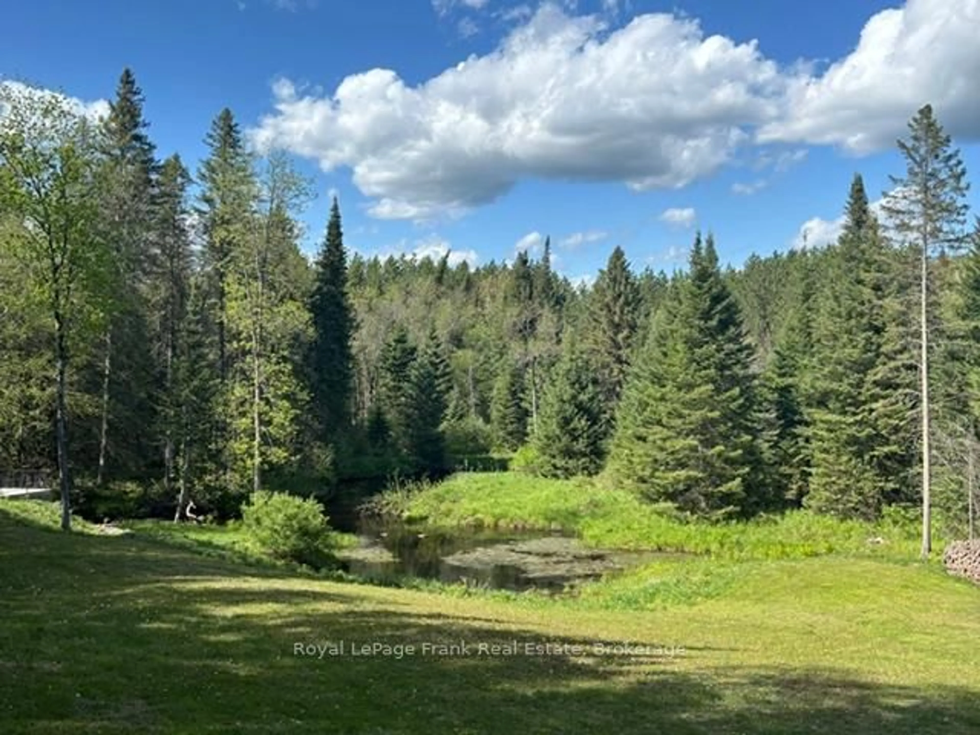 A pic from outside/outdoor area/front of a property/back of a property/a pic from drone, forest/trees view for 5794 Highway 620, Coe Hill Ontario K0L 1P0