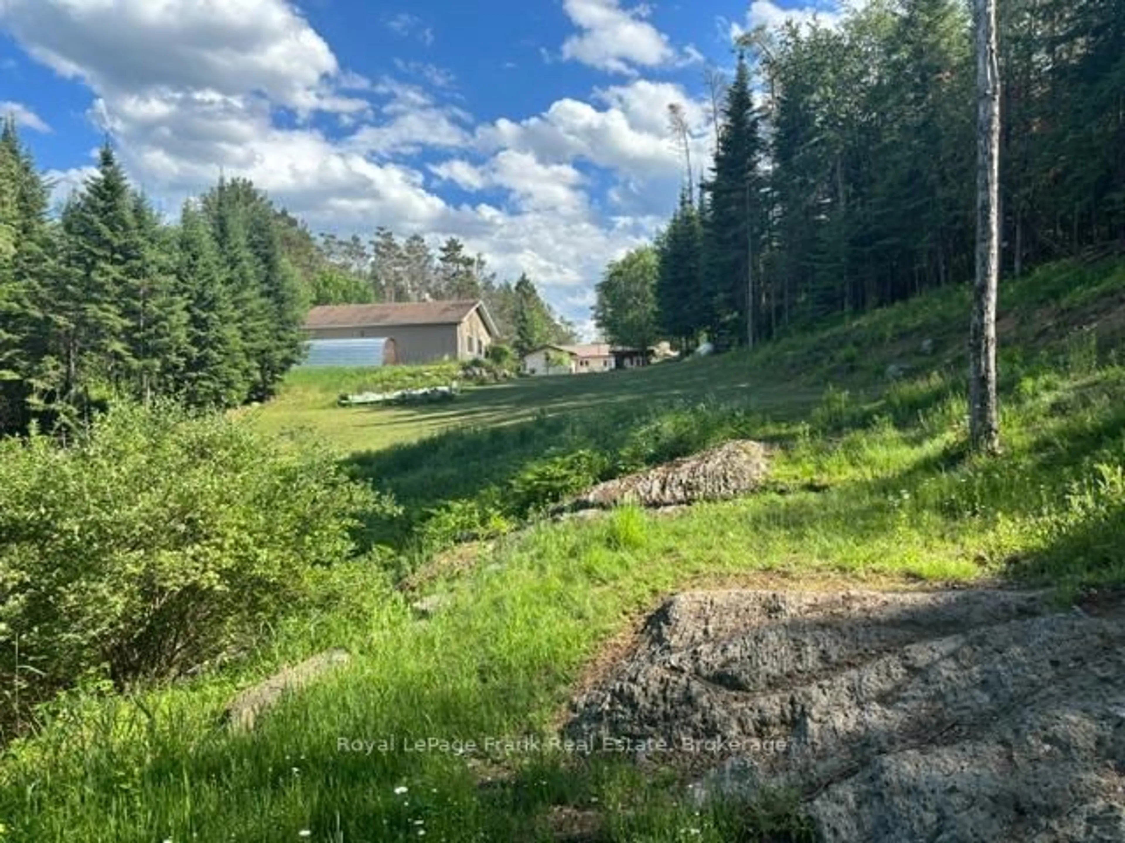 A pic from outside/outdoor area/front of a property/back of a property/a pic from drone, forest/trees view for 5794 Highway 620, Coe Hill Ontario K0L 1P0