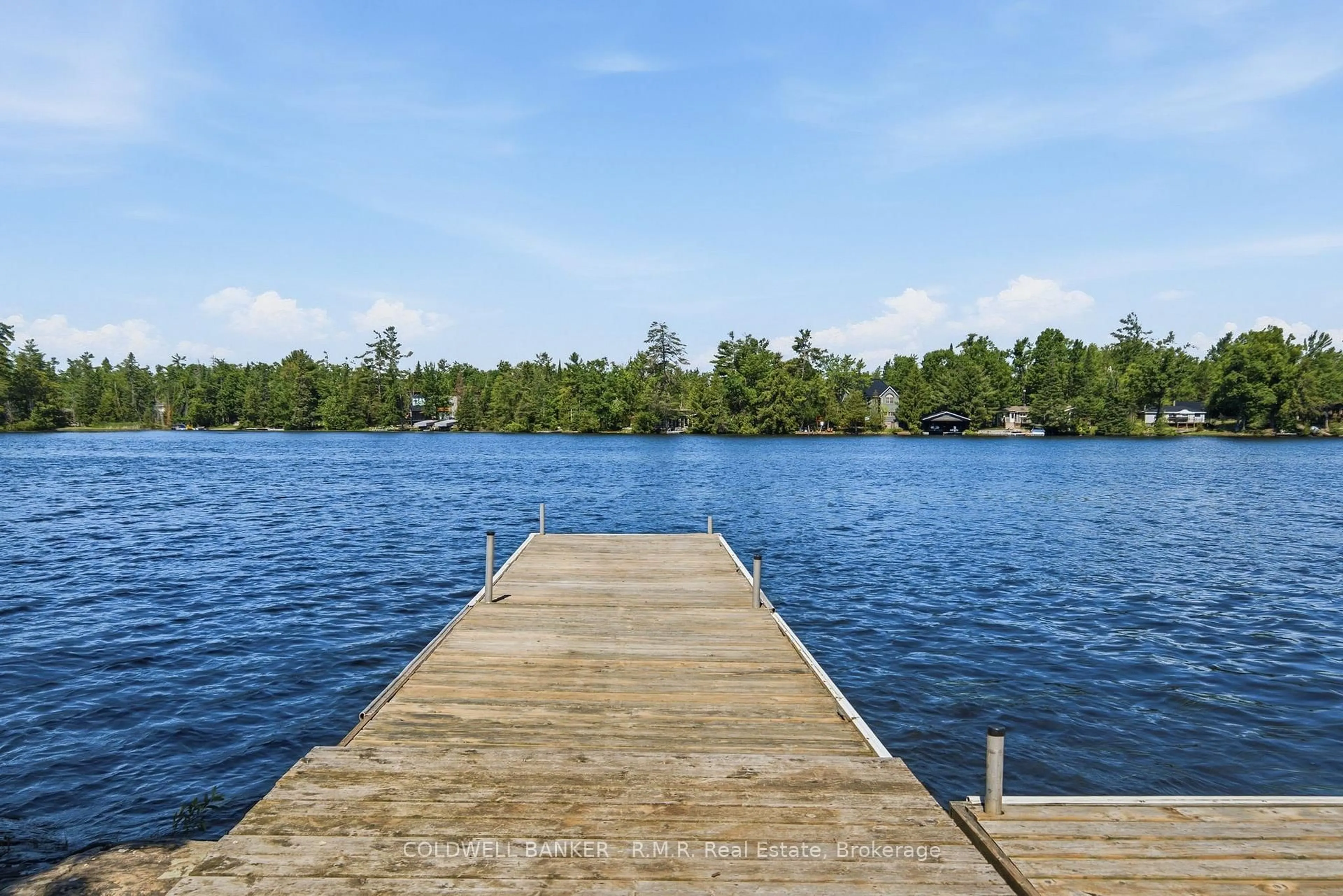 Unknown for 207 Hall Dr, Trent Lakes Ontario K0L 1J0