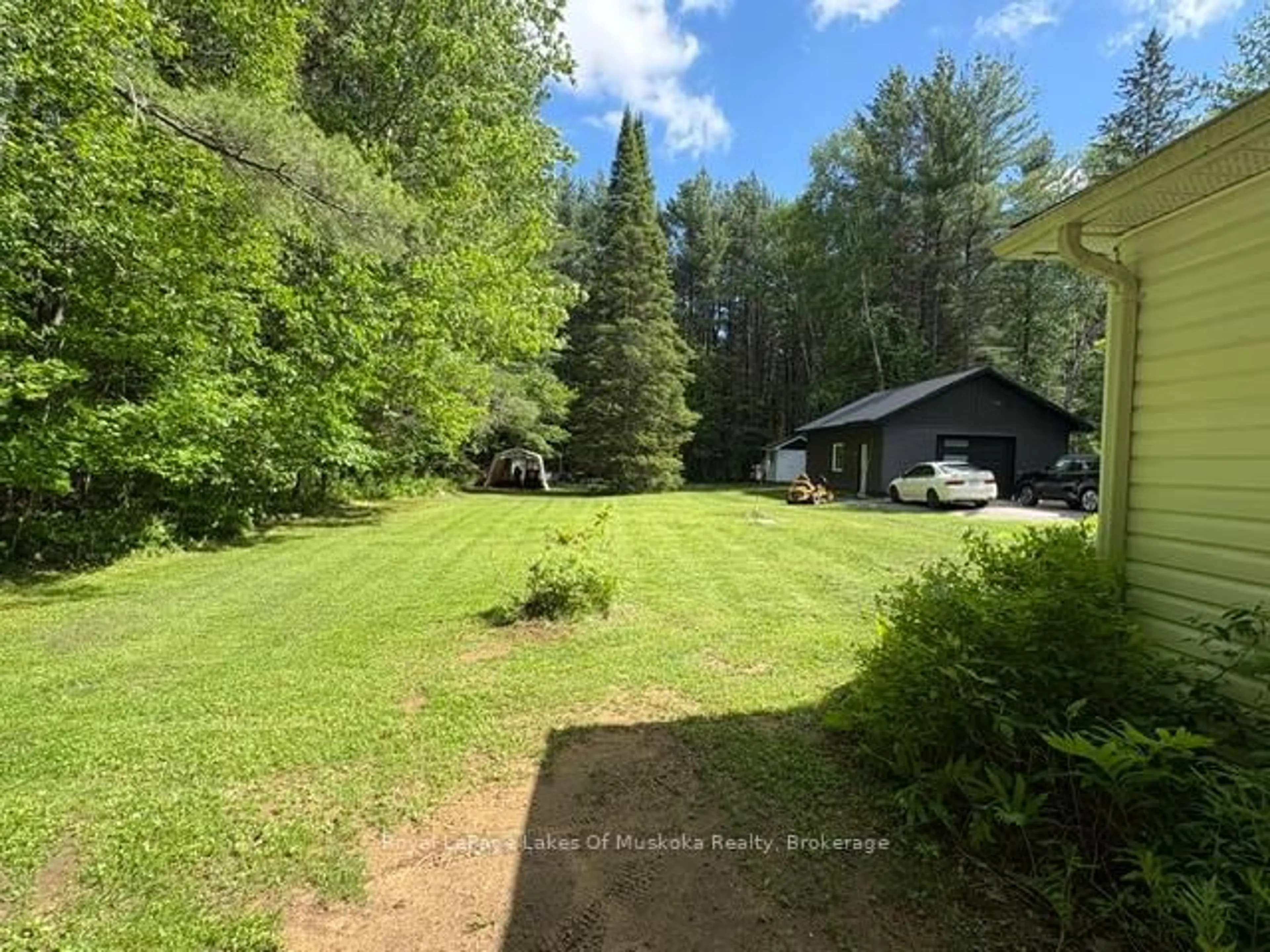 A pic from outside/outdoor area/front of a property/back of a property/a pic from drone, forest/trees view for 95 Clearwater Lake Rd, Huntsville Ontario P0B 1L0