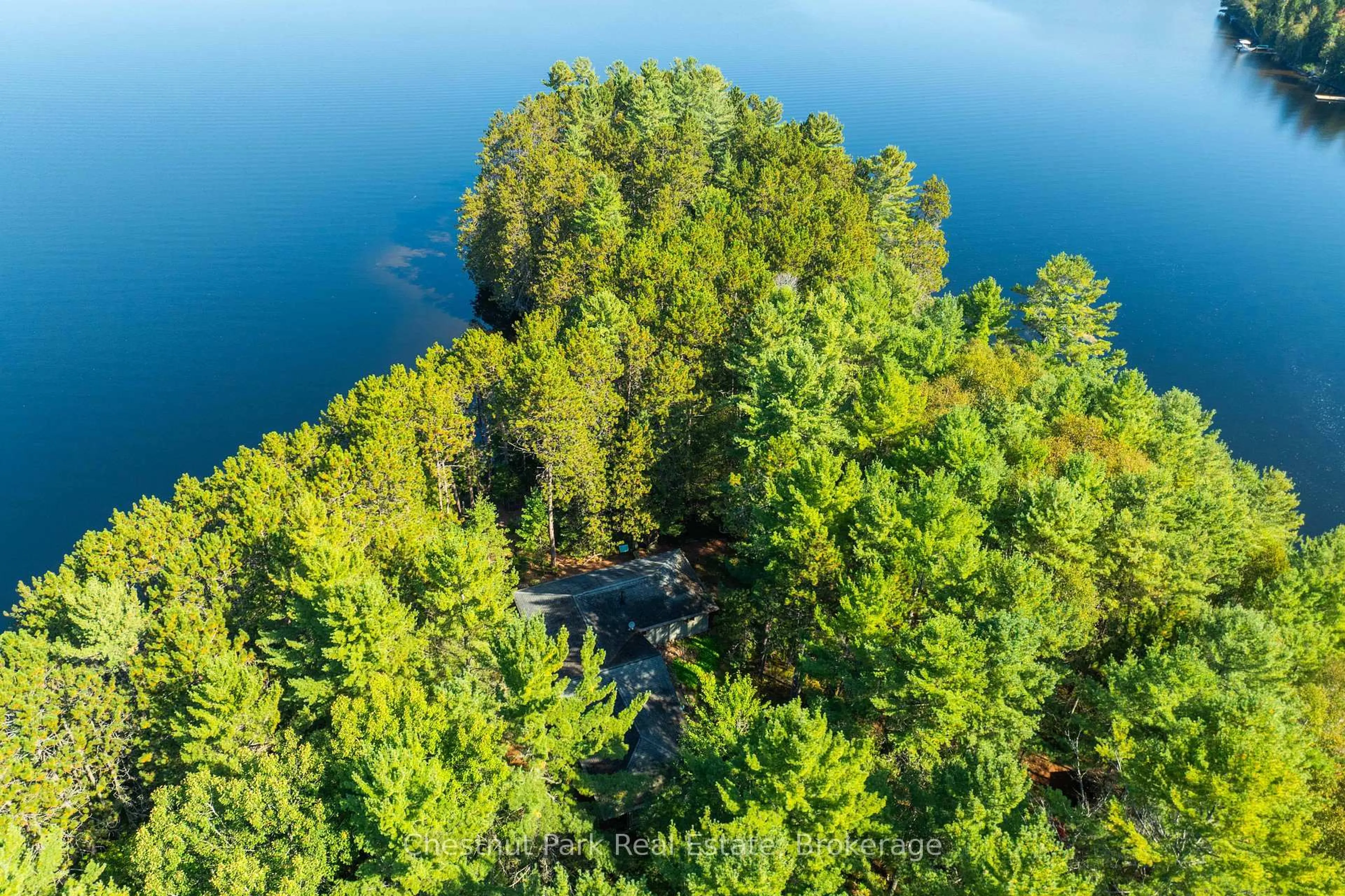A pic from outside/outdoor area/front of a property/back of a property/a pic from drone, water/lake/river/ocean view for 10000 Soyers - Brown Island, Minden Hills Ontario K0M 2K0