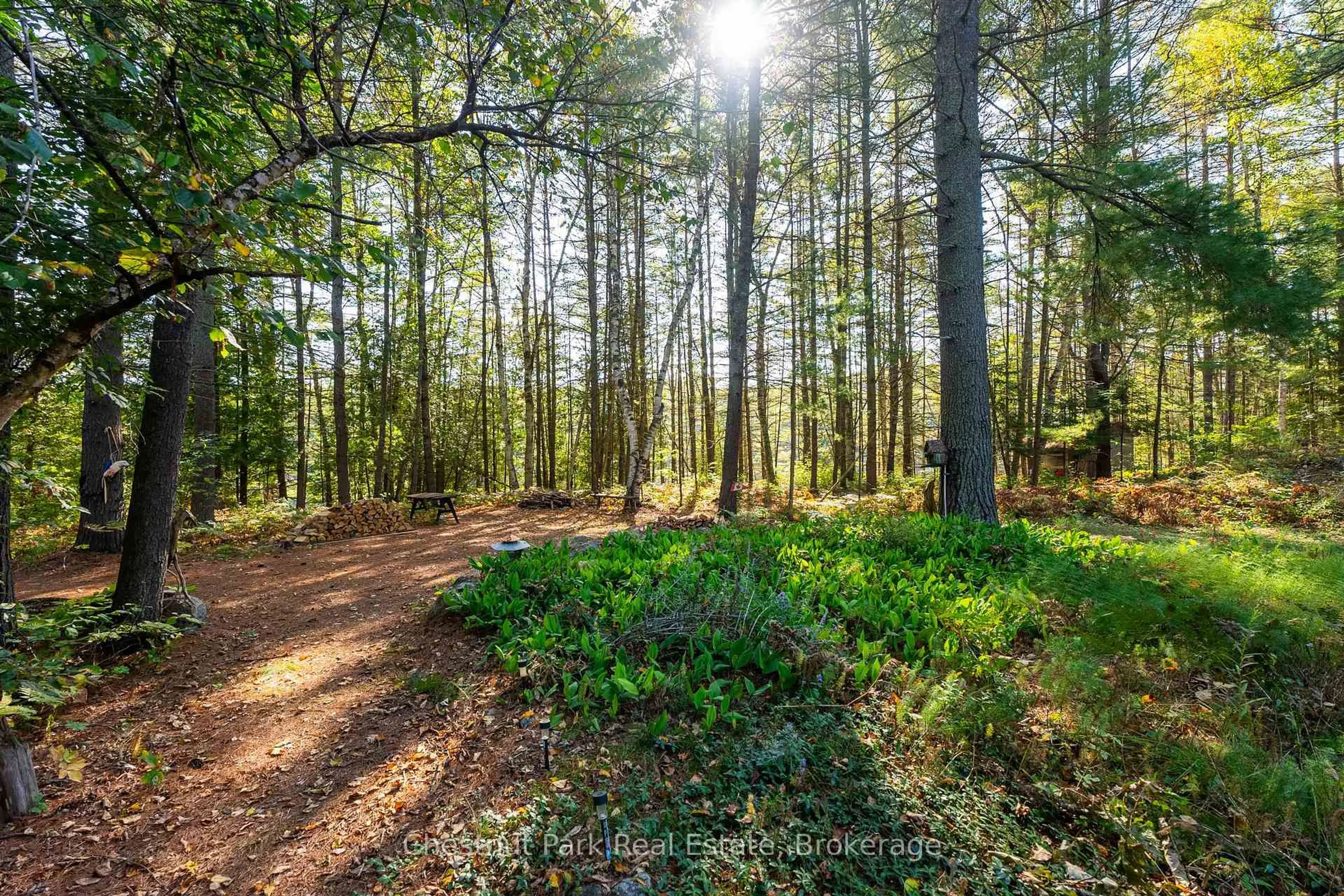 A pic from outside/outdoor area/front of a property/back of a property/a pic from drone, forest/trees view for 10000 Soyers - Brown Island, Minden Hills Ontario K0M 2K0