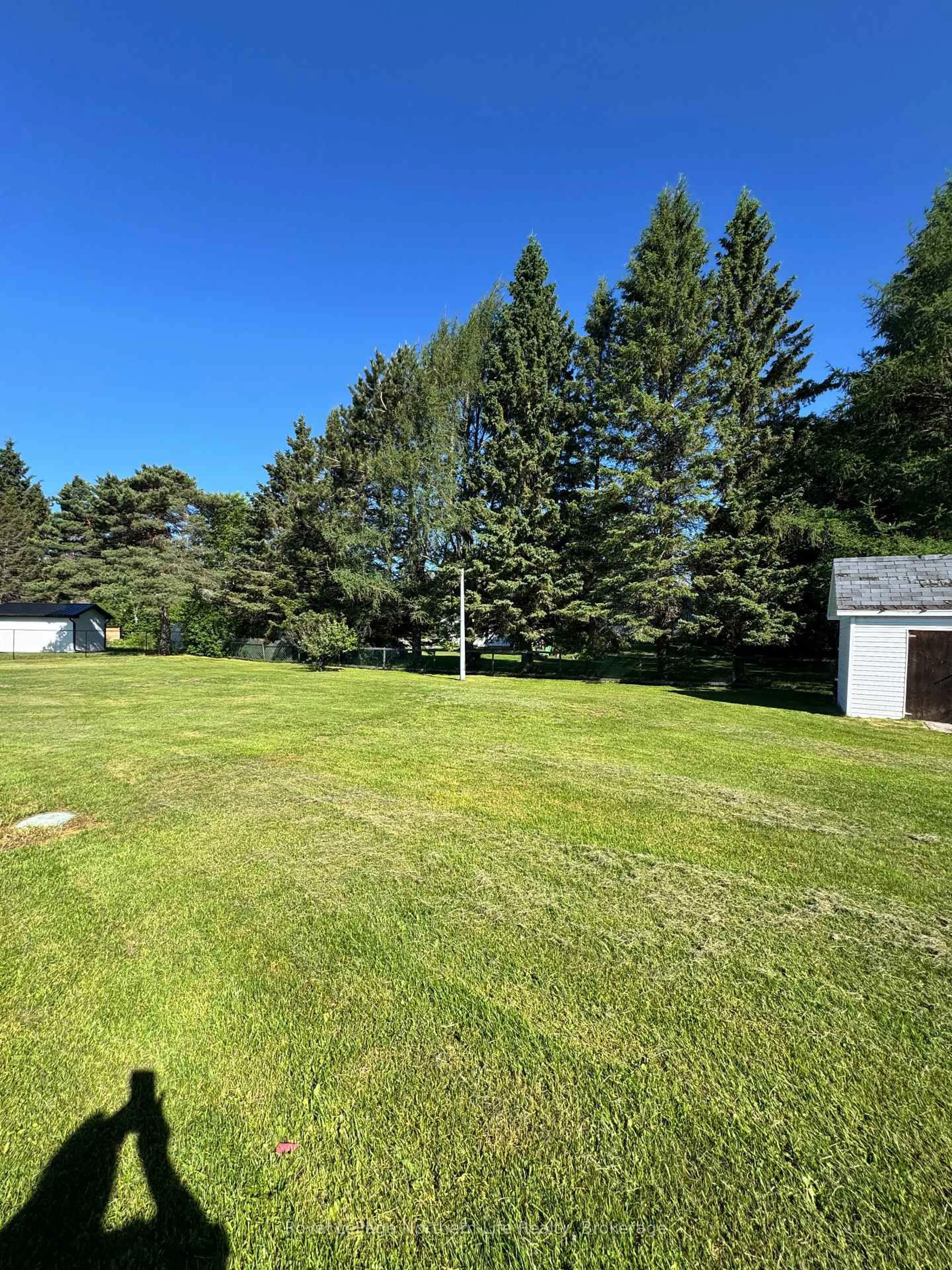 A pic from outside/outdoor area/front of a property/back of a property/a pic from drone, forest/trees view for 176 Main St, Powassan Ontario P0H 2L0