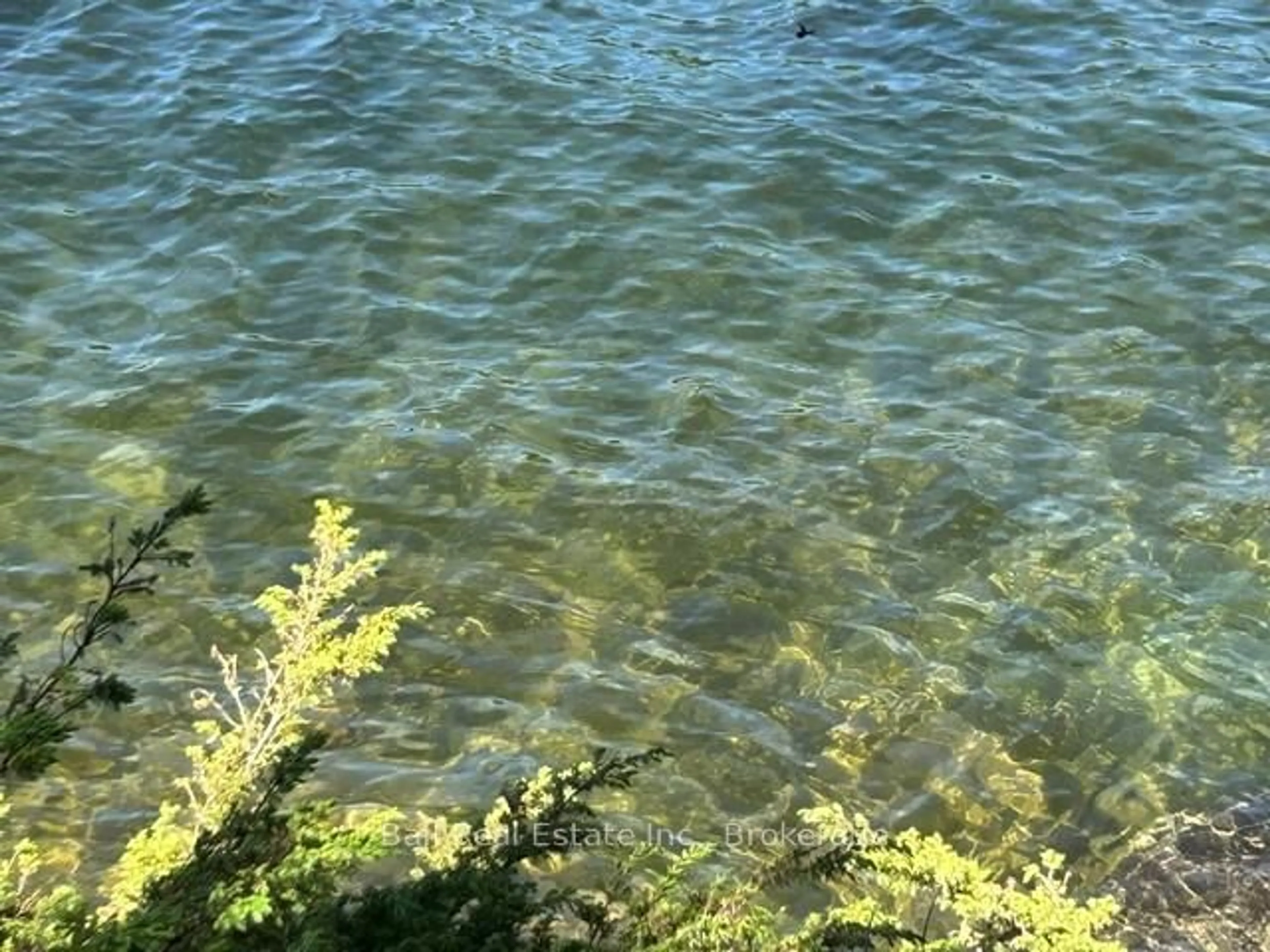 Blurry image for 79 Fire Route 89D, North Kawartha Ontario K0L 3E0