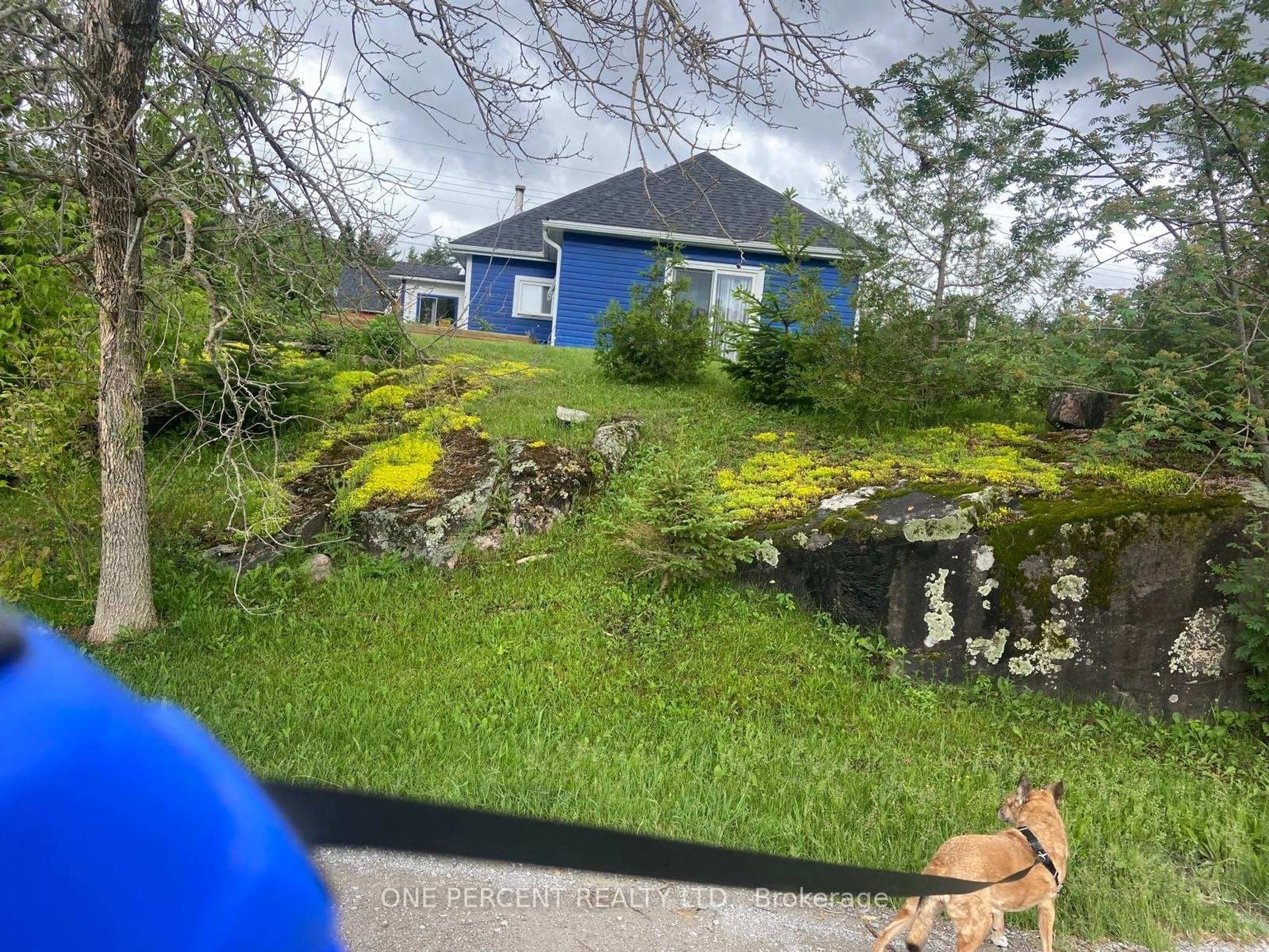 A pic from outside/outdoor area/front of a property/back of a property/a pic from drone, street for 4982 Monck Rd, Kawartha Lakes Ontario K0M 2A0