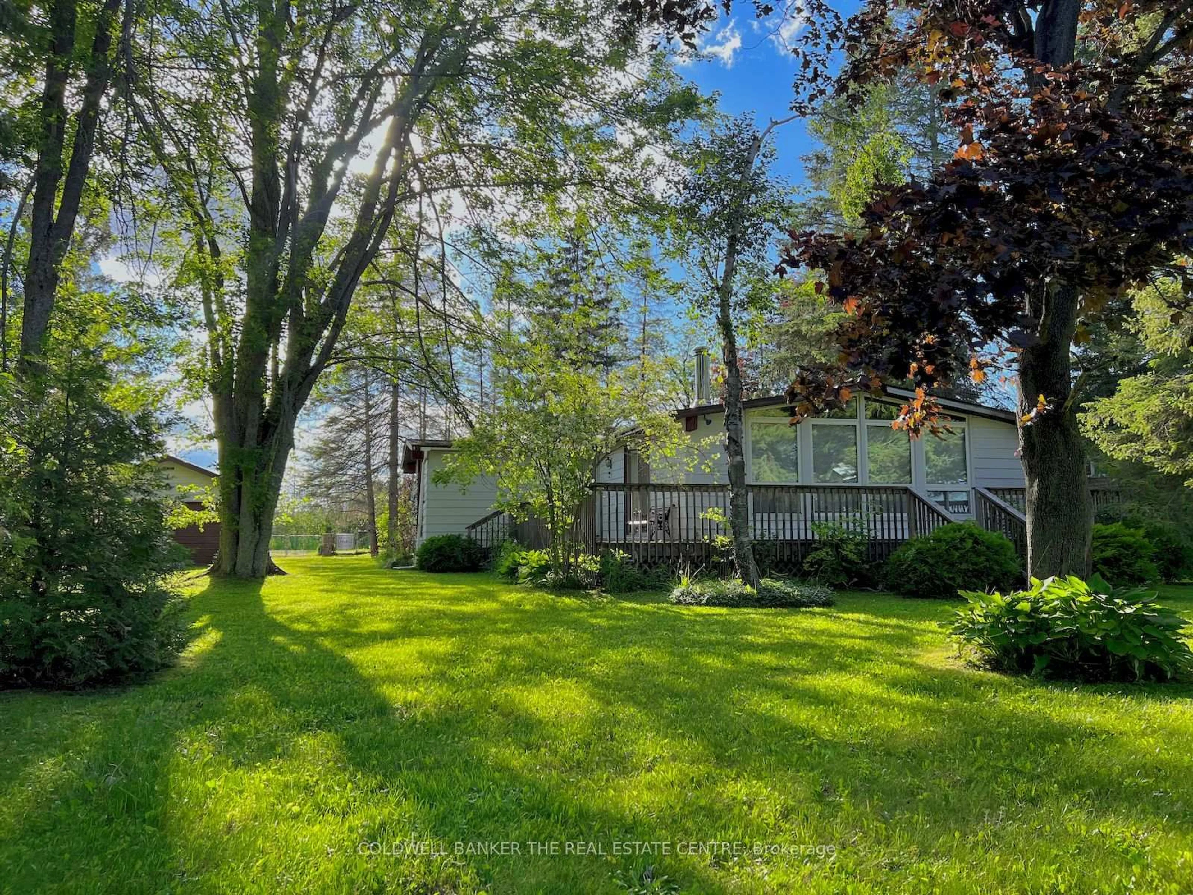 A pic from outside/outdoor area/front of a property/back of a property/a pic from drone, forest/trees view for 72 West Bay Blvd, Kawartha Lakes Ontario K0M 2B0