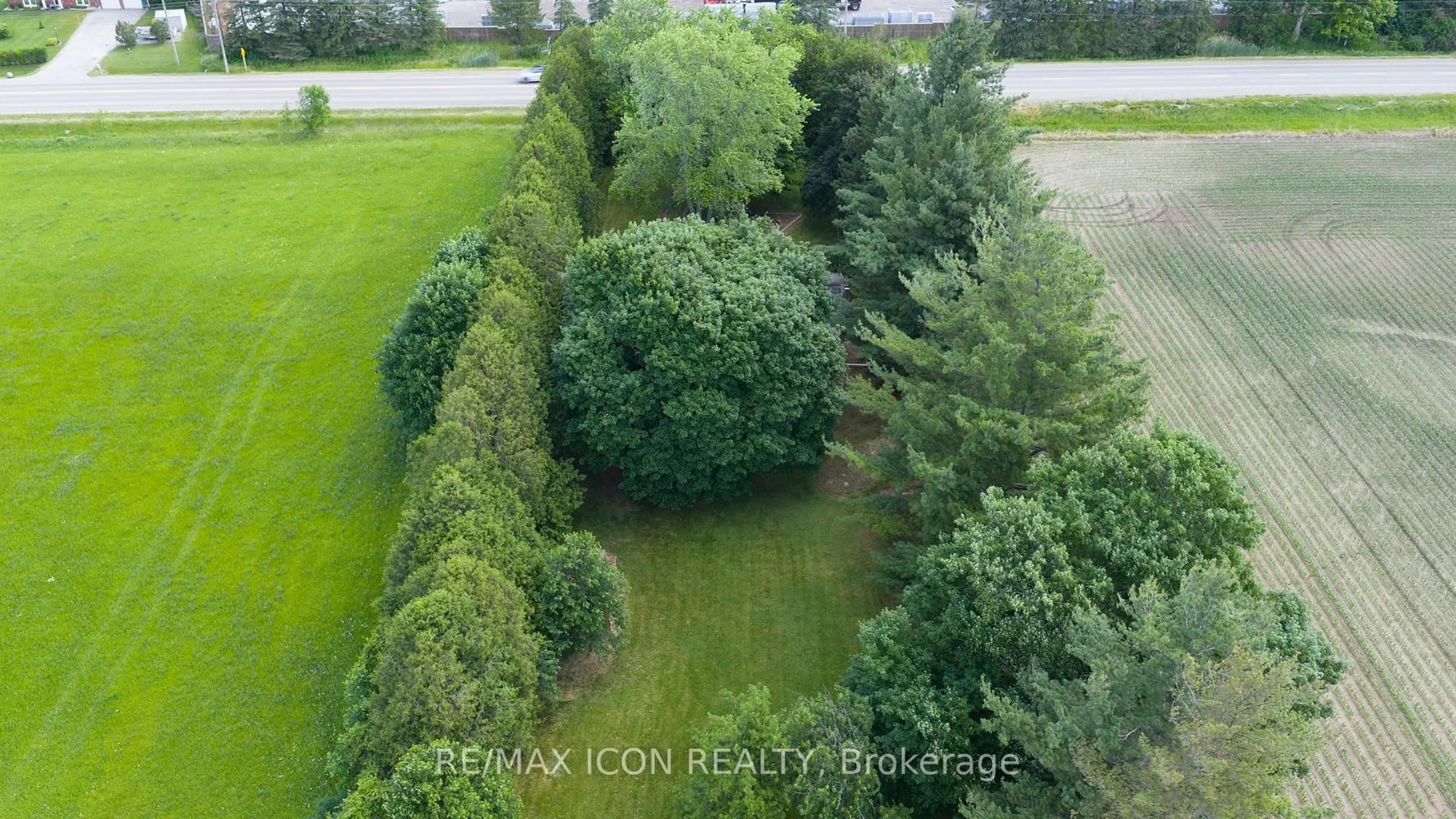 A pic from outside/outdoor area/front of a property/back of a property/a pic from drone, forest/trees view for 23163 Nairn Rd, Middlesex Centre Ontario N0L 1R0