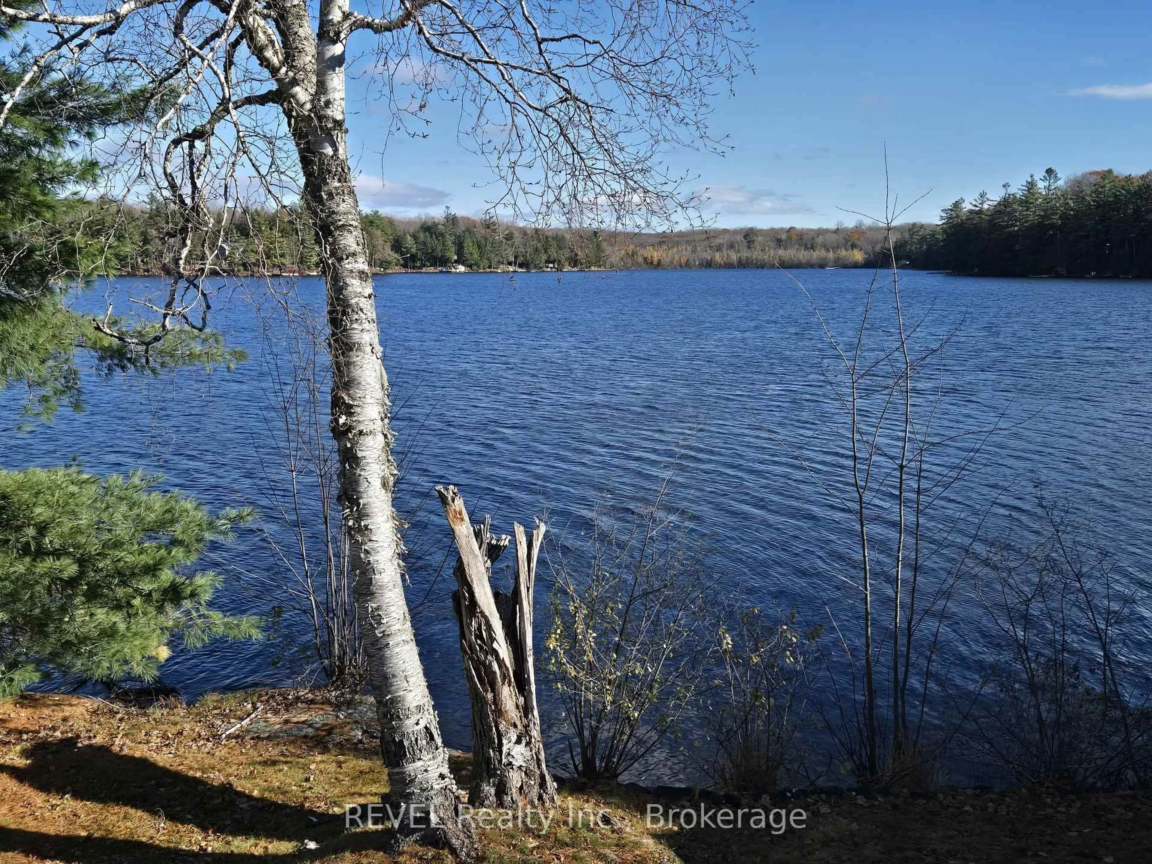 Unknown for 1031 Butterfly Rd, Muskoka Lakes Ontario P0C 1A0