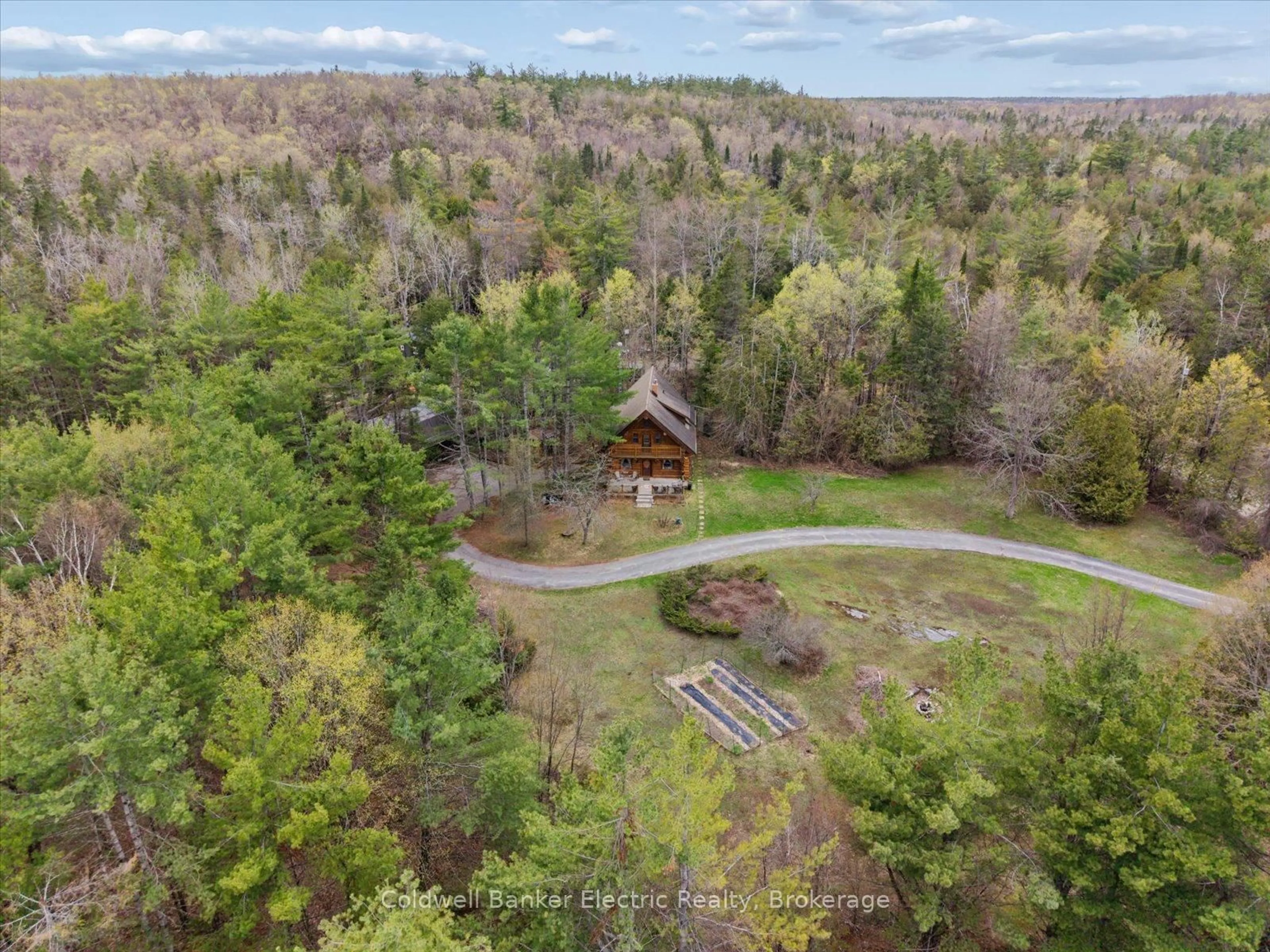A pic from outside/outdoor area/front of a property/back of a property/a pic from drone, forest/trees view for 197 Hillside Dr, Kawartha Lakes Ontario K0M 1C0