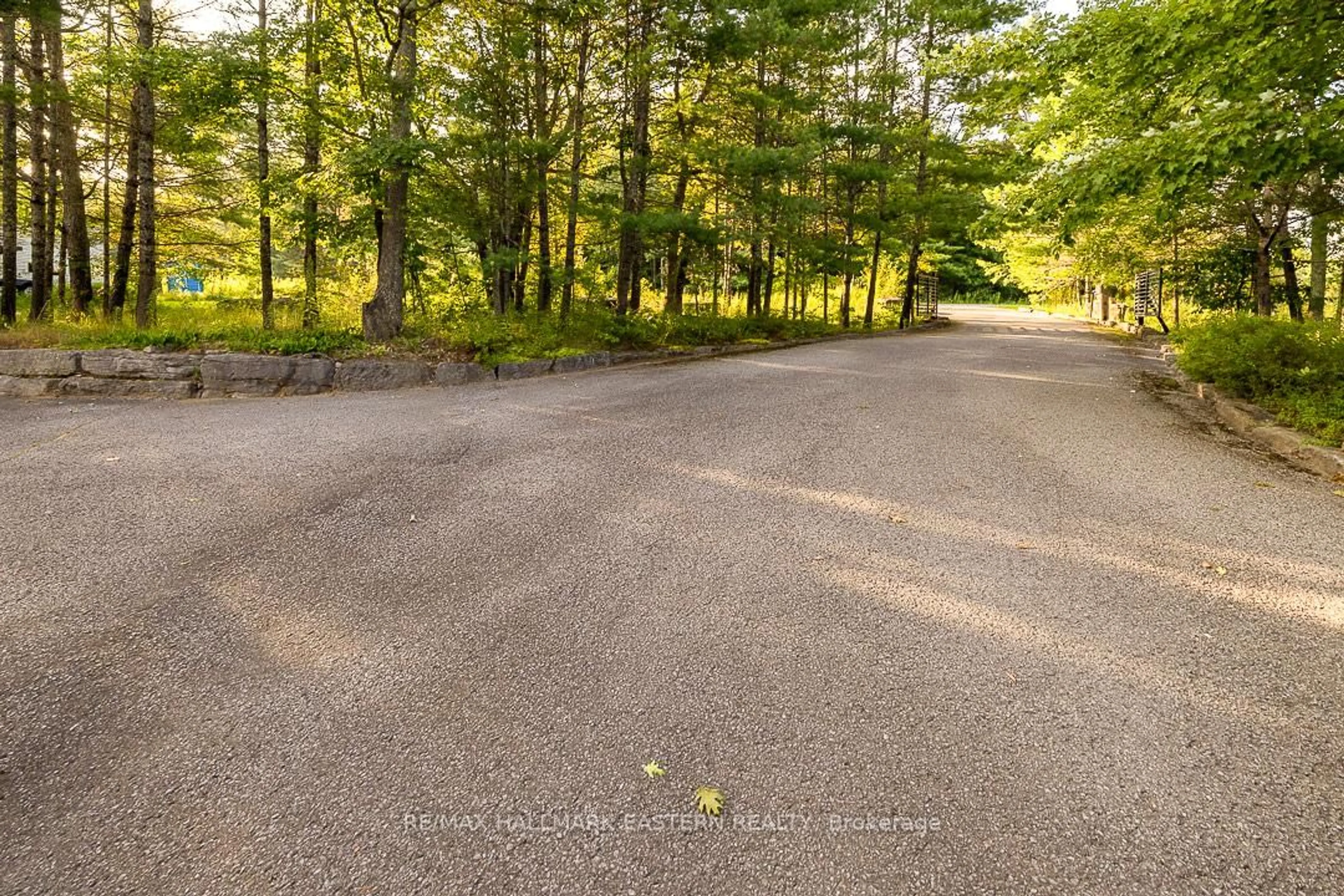 Patio, forest/trees view for 15 Oakridge Dr, North Kawartha Ontario K0L 3E0