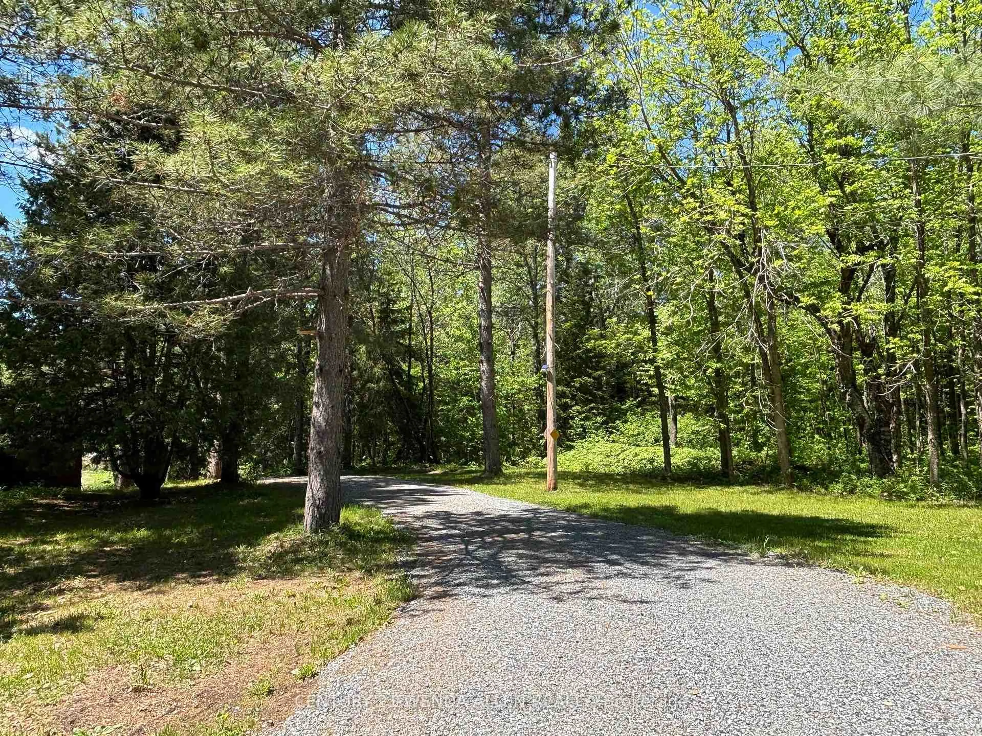 A pic from outside/outdoor area/front of a property/back of a property/a pic from drone, forest/trees view for 2913 Highway 11 Highway, Temagami Ontario P0M 1T0