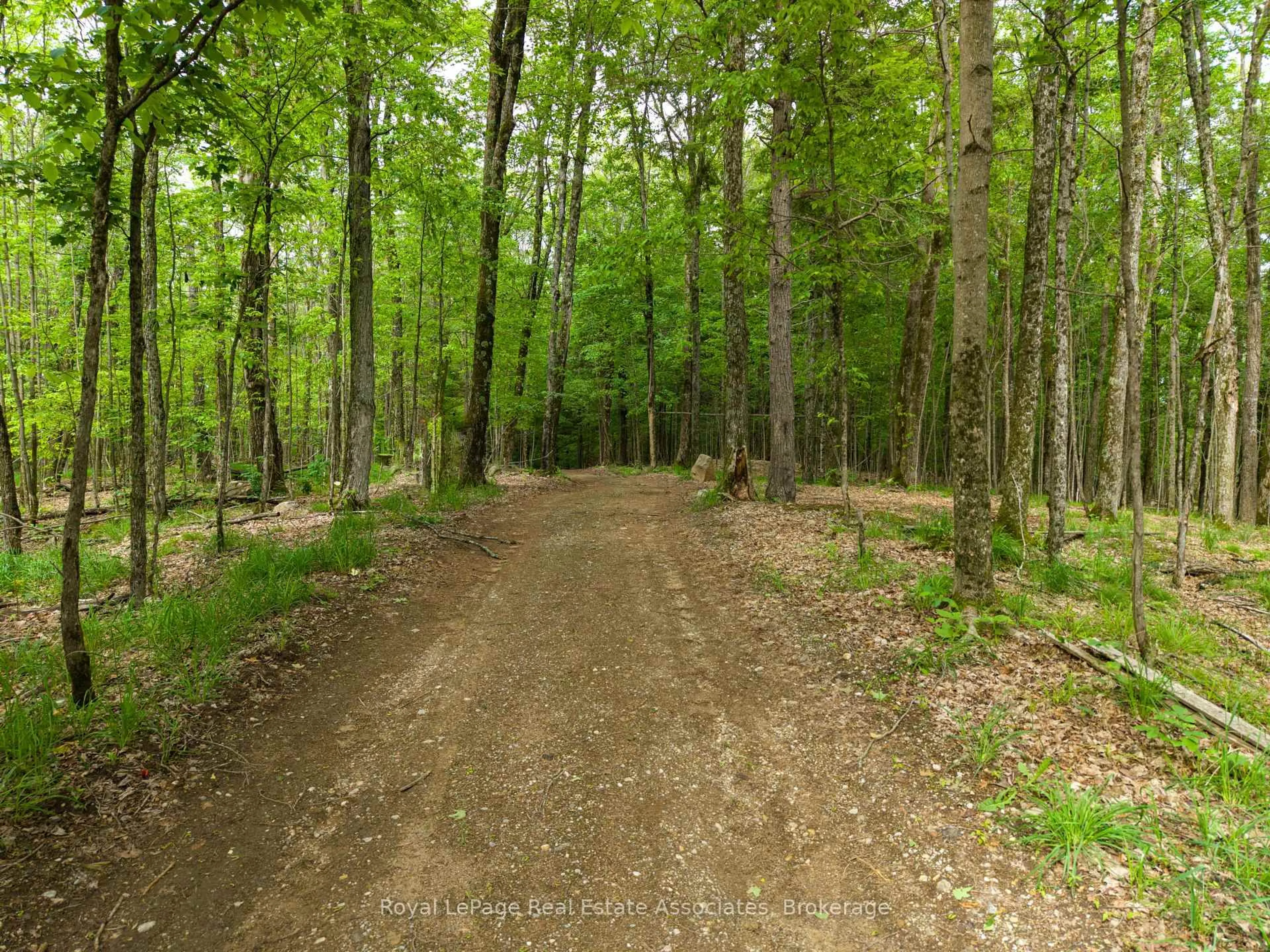Blurry image for 5301 Hwy 620 Highway, Coe Hill Ontario K0L 1P0