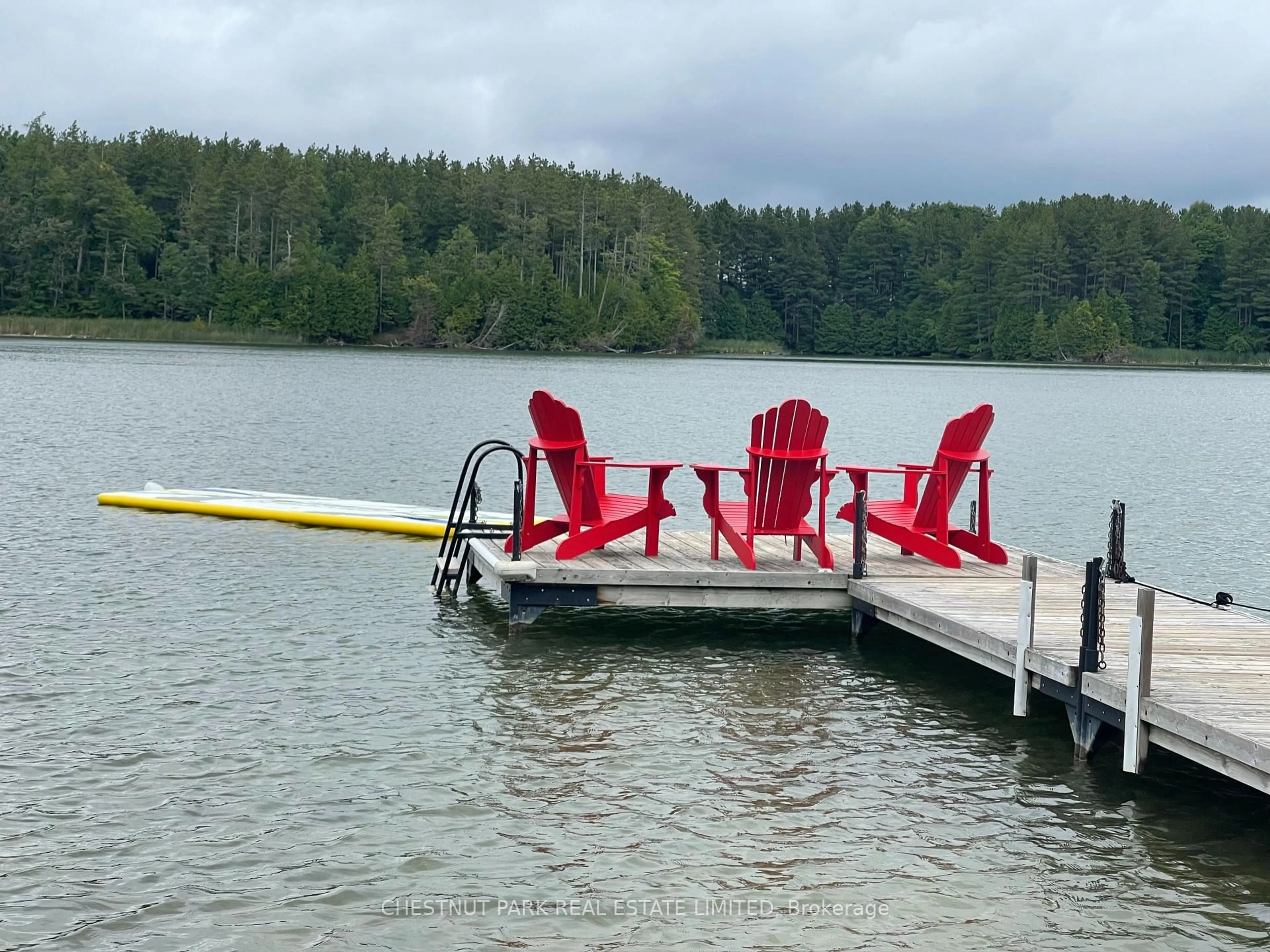Unknown for 133 Island View Dr, Grey Highlands Ontario N0C 1E0