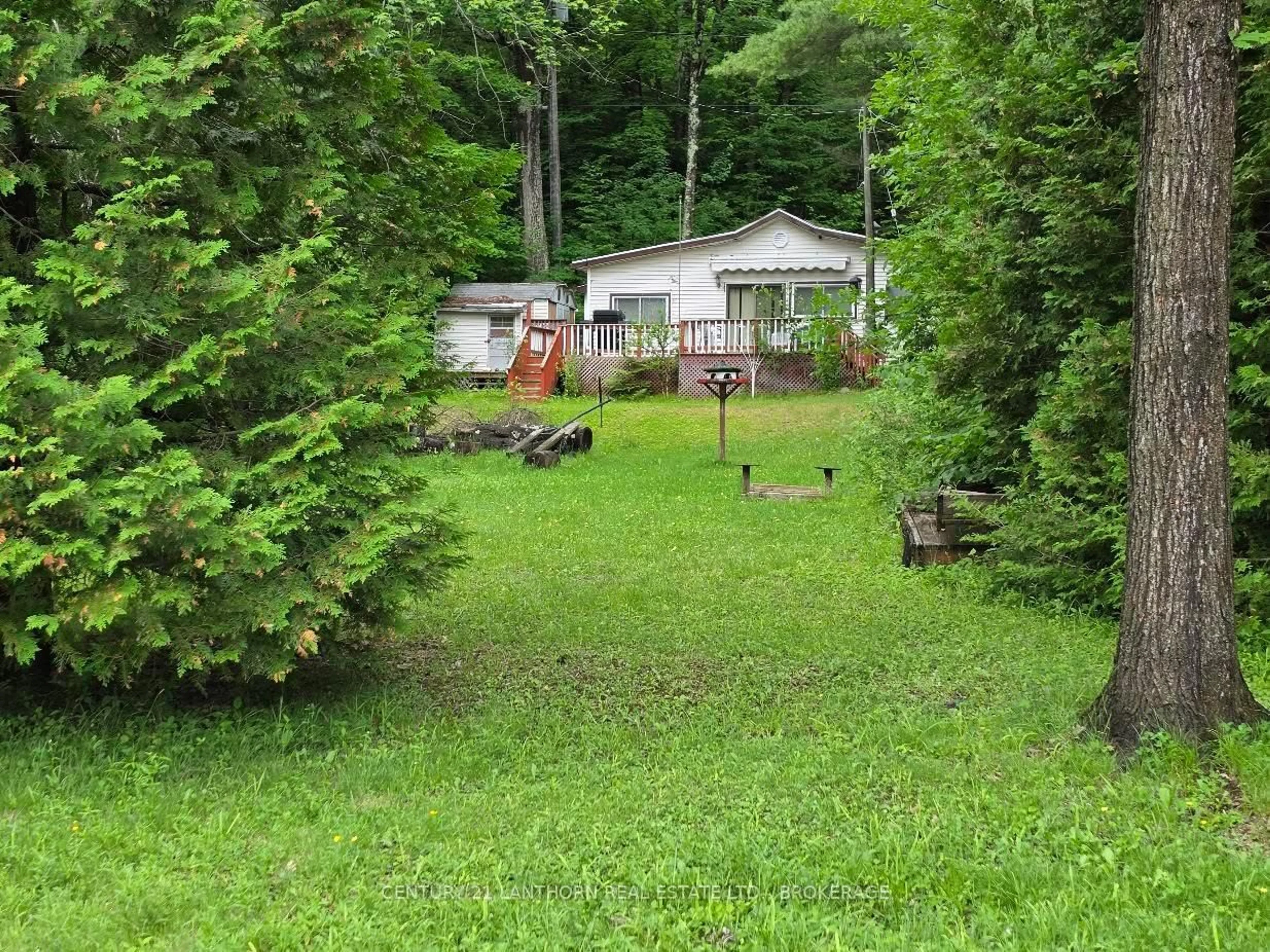 A pic from outside/outdoor area/front of a property/back of a property/a pic from drone, forest/trees view for 1039 Big Bay Rd, Arden Ontario K0H 1B0