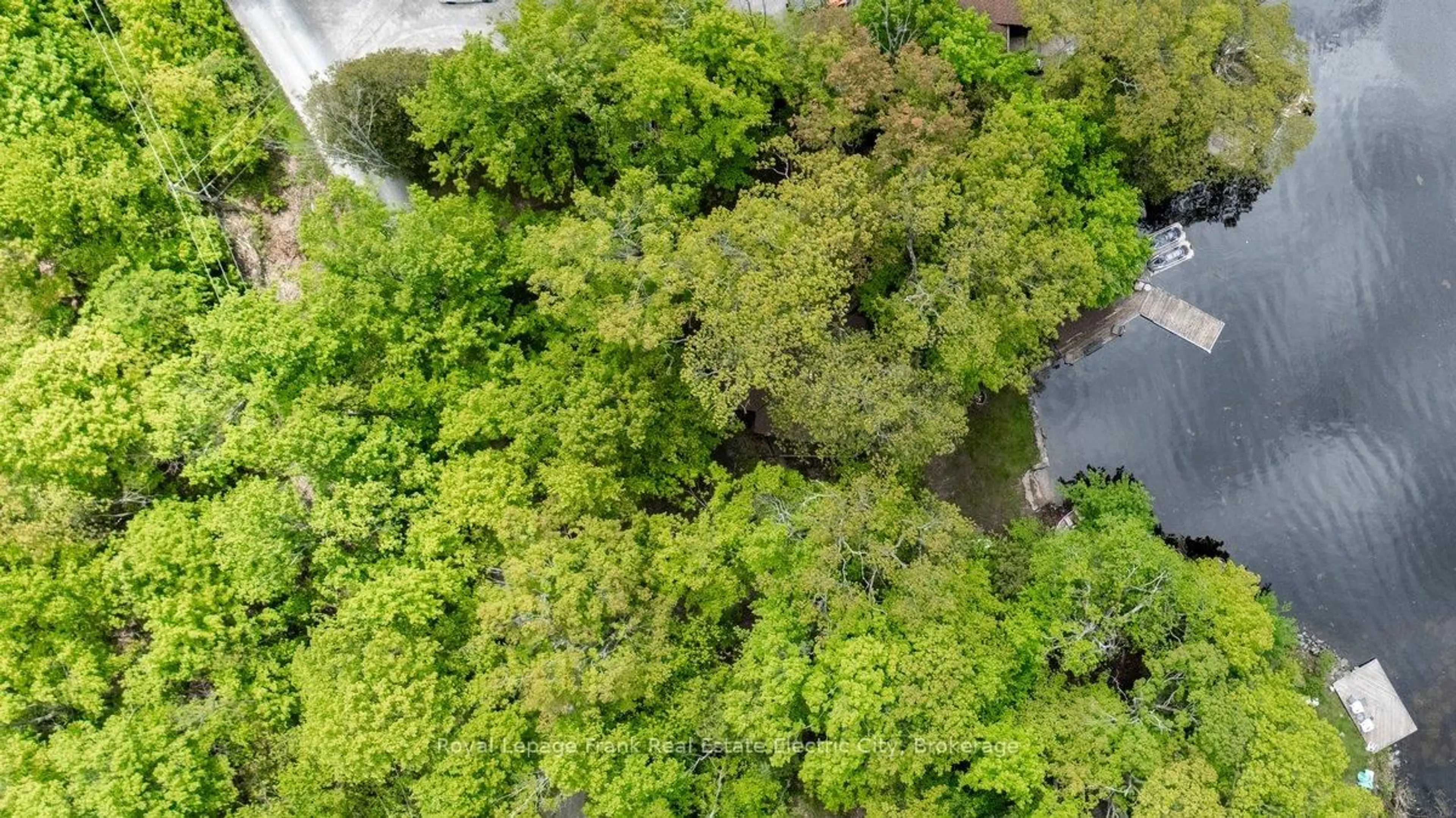 A pic from outside/outdoor area/front of a property/back of a property/a pic from drone, forest/trees view for 28 Fire Route 96, Trent Lakes Ontario K0M 1A0