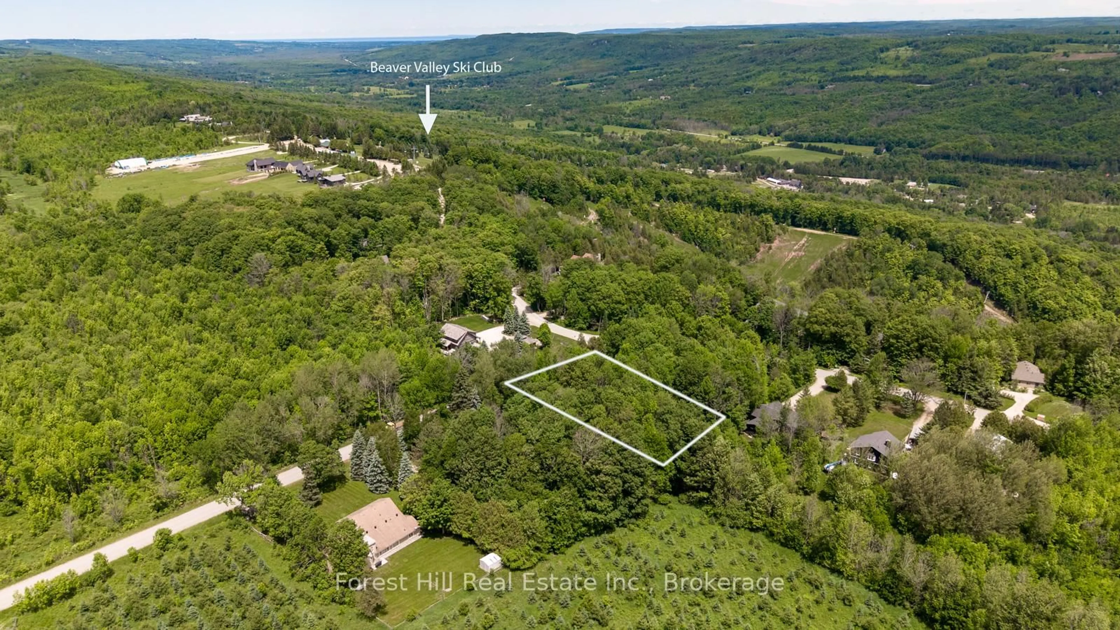 A pic from outside/outdoor area/front of a property/back of a property/a pic from drone, forest/trees view for 154 Bowles Bluff Rd, Grey Highlands Ontario N0C 1H0
