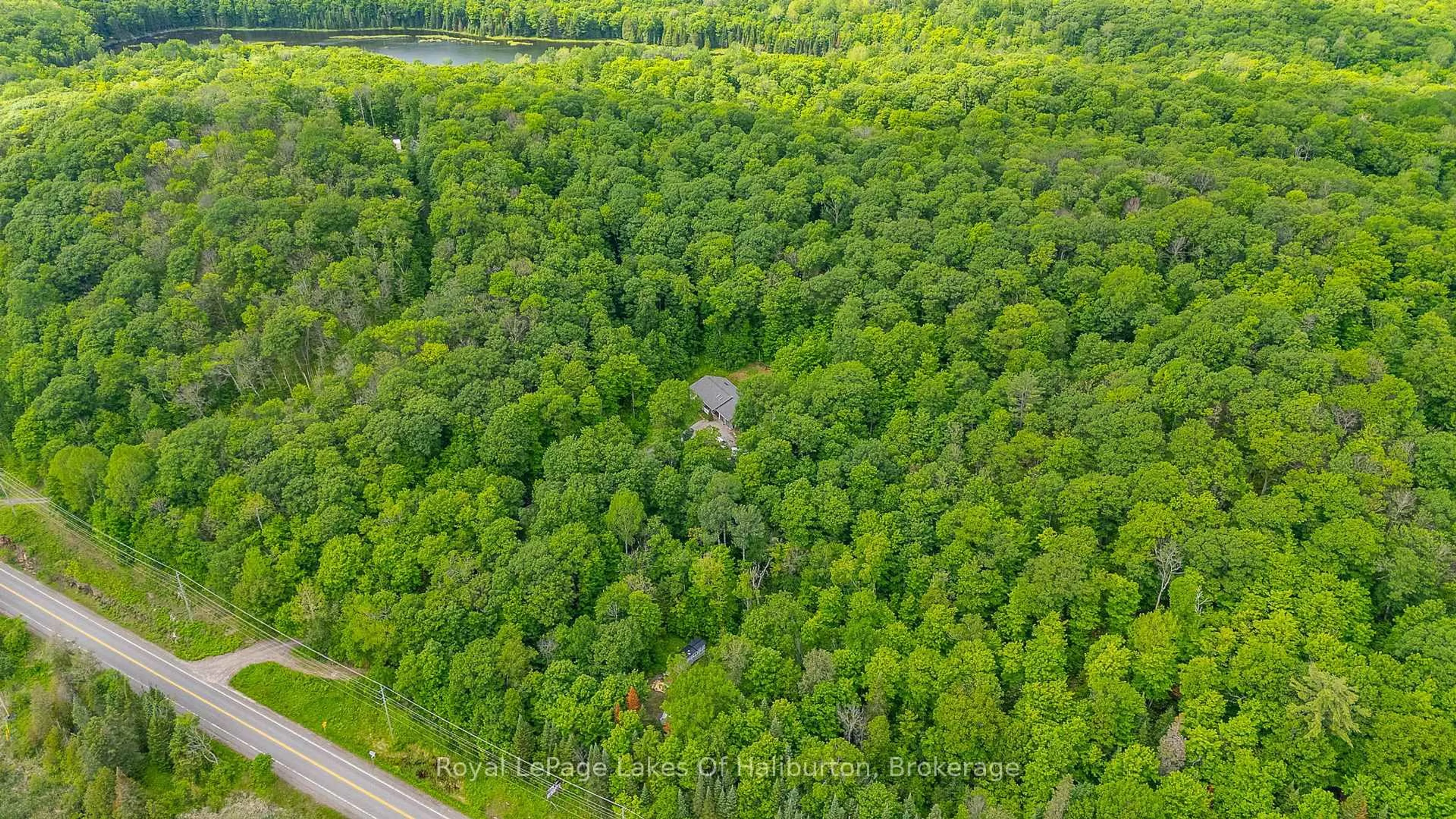 A pic from outside/outdoor area/front of a property/back of a property/a pic from drone, forest/trees view for 16741 Highway 118, Dysart et al Ontario K0M 1S0