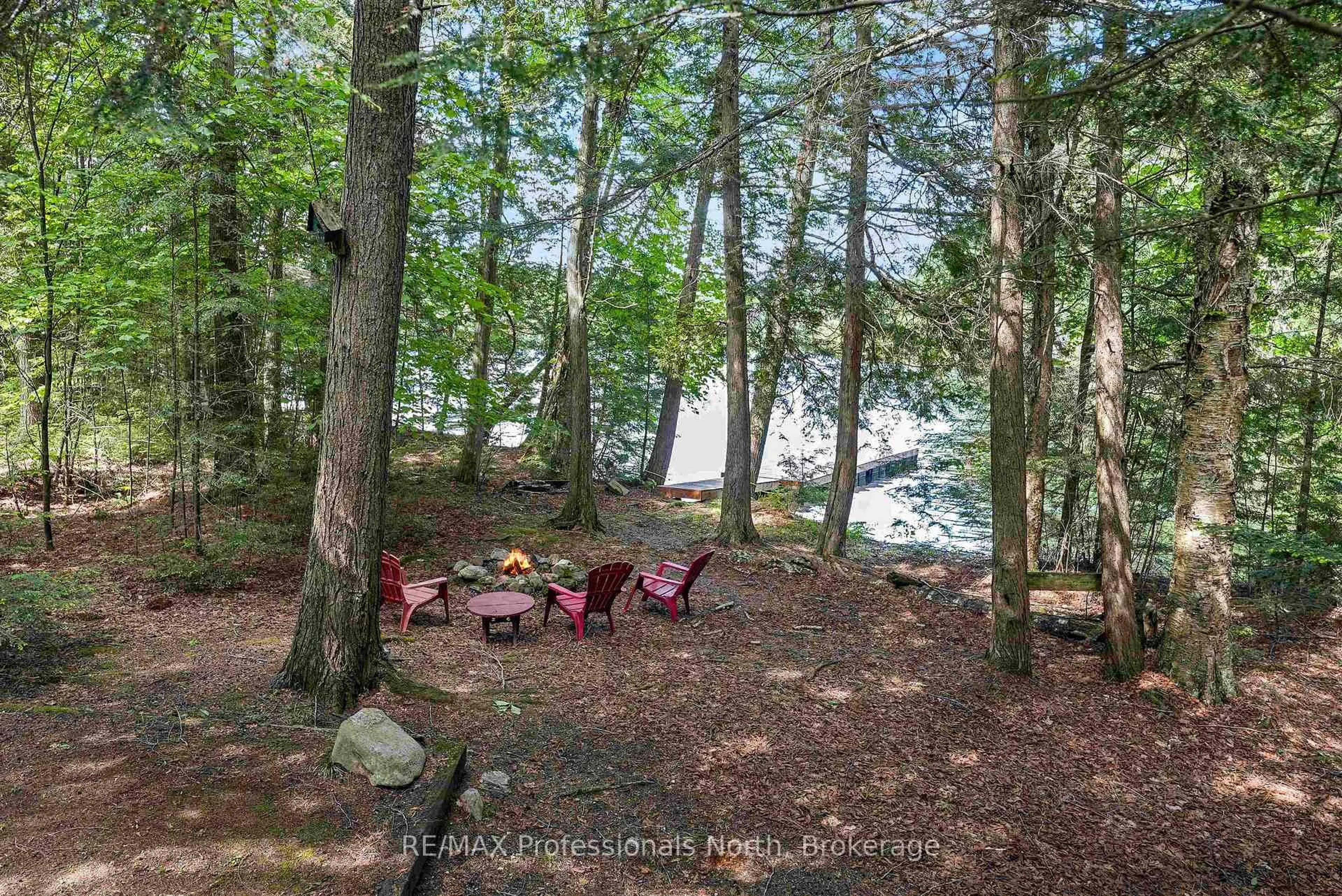 Patio, forest/trees view for 1420 Moose Lake Rd, Dysart et al Ontario K0M 1S0