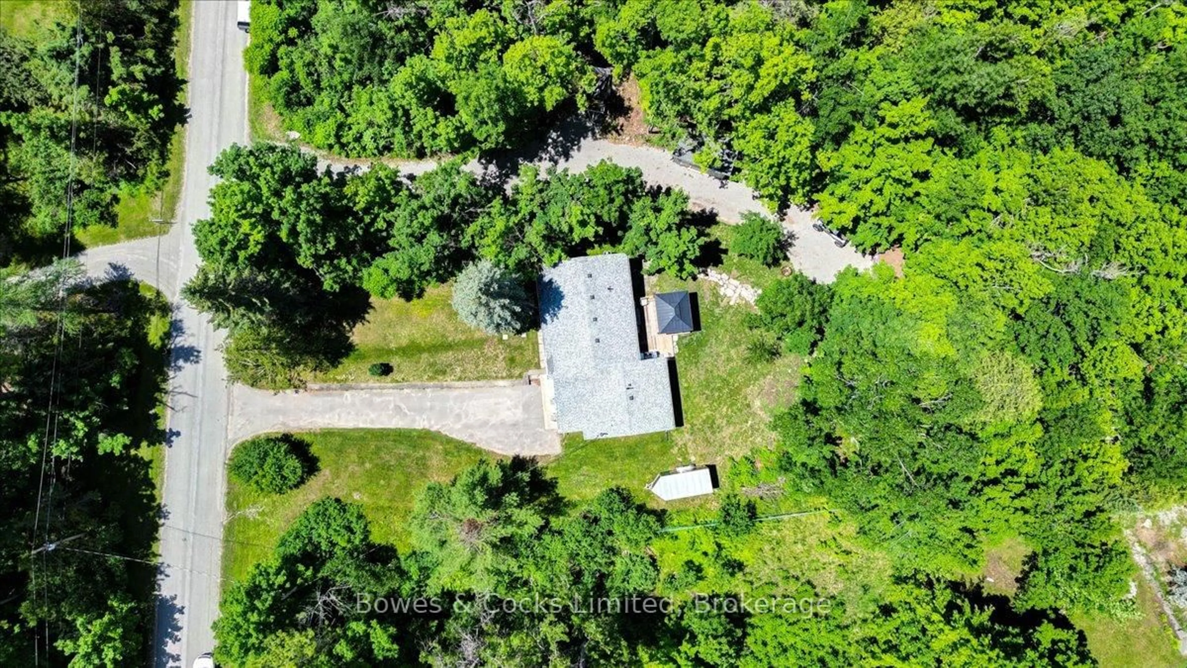 A pic from outside/outdoor area/front of a property/back of a property/a pic from drone, forest/trees view for 10 Birch Terr, Trent Lakes Ontario K0L 1J0