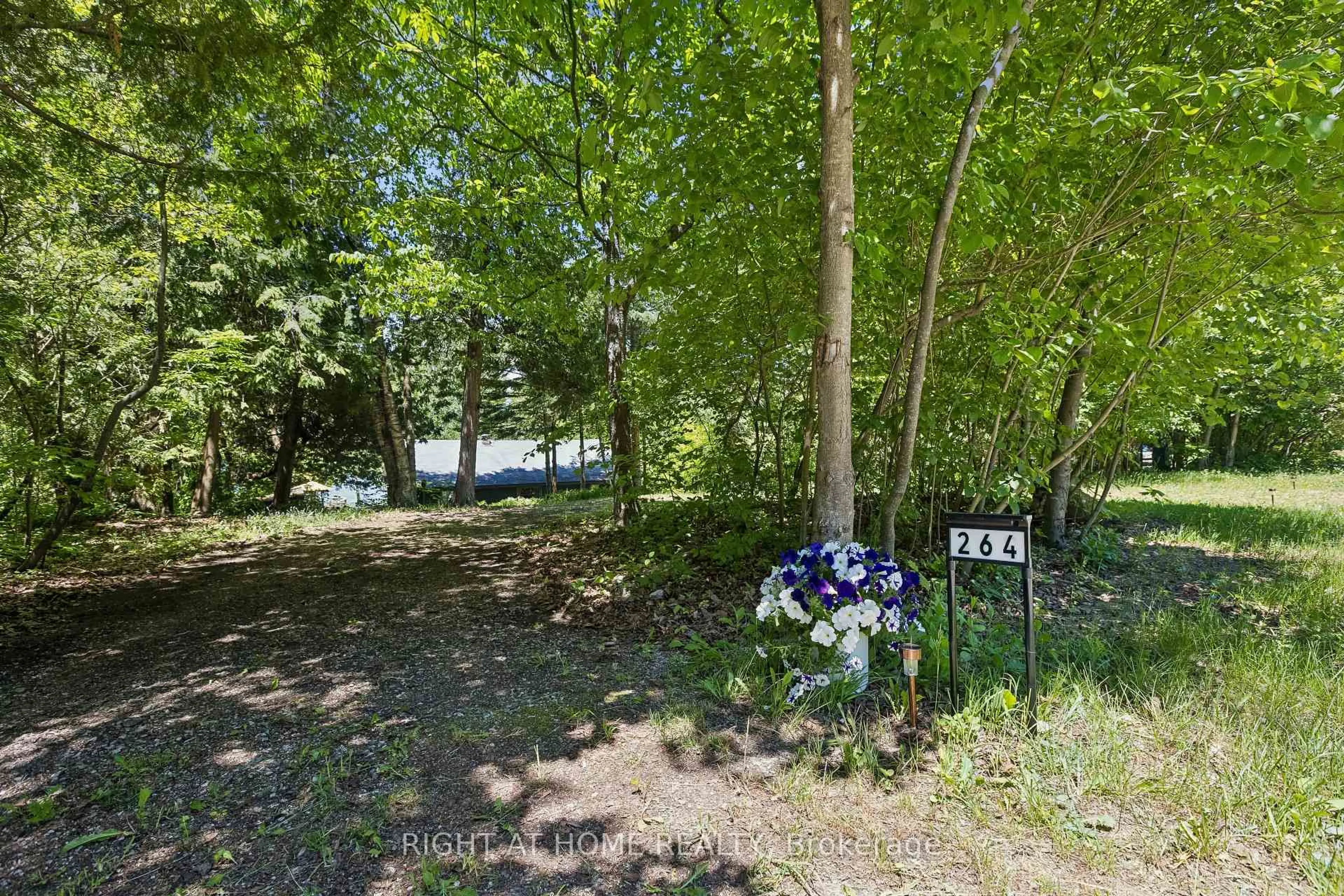 A pic from outside/outdoor area/front of a property/back of a property/a pic from drone, forest/trees view for 264 Blanchfield Rd, Saugeen Shores Ontario N0H 2L0