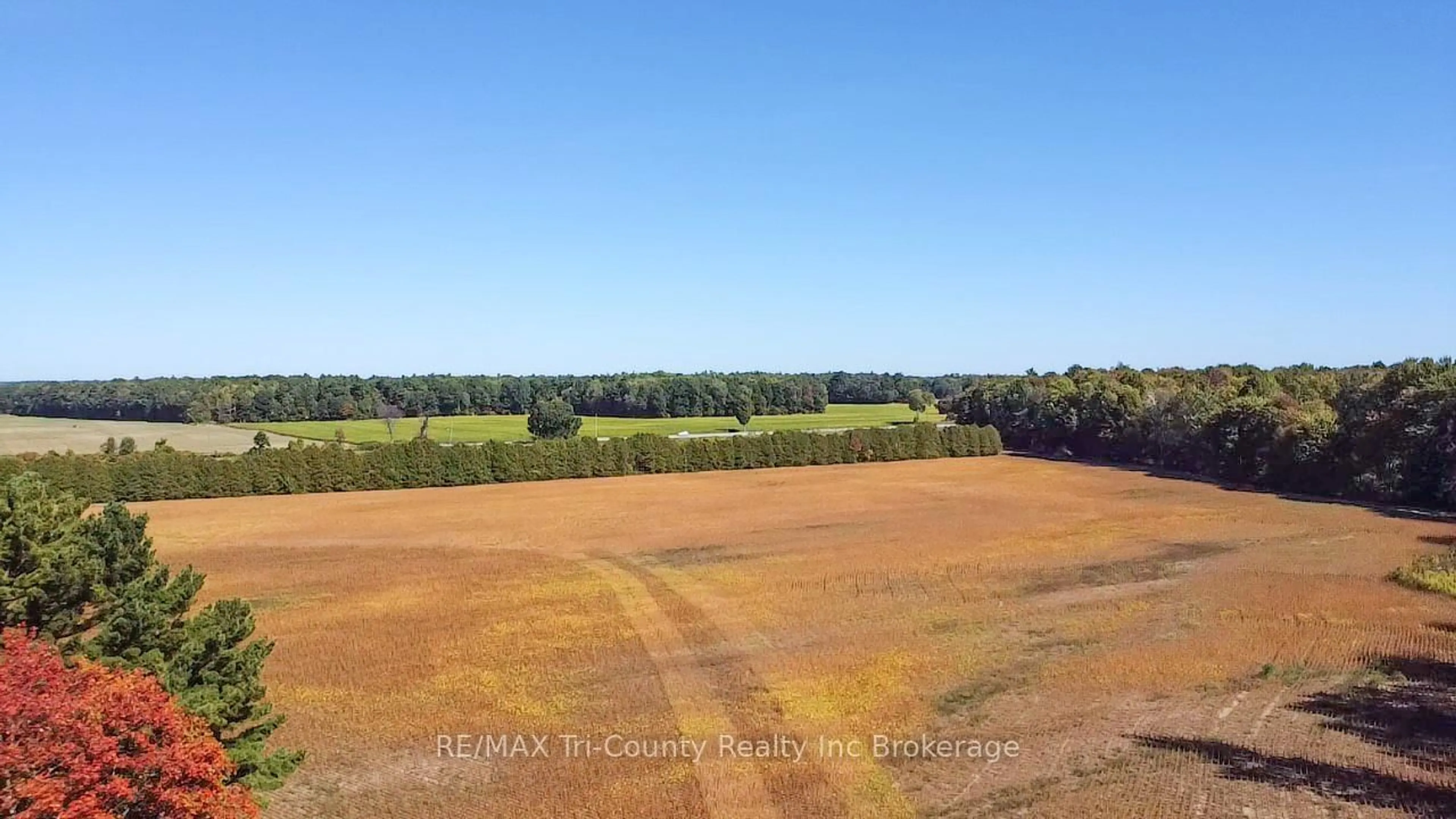 A pic from outside/outdoor area/front of a property/back of a property/a pic from drone, forest/trees view for 1225 1st Concession ENR Rd, Norfolk Ontario N0E 1G0