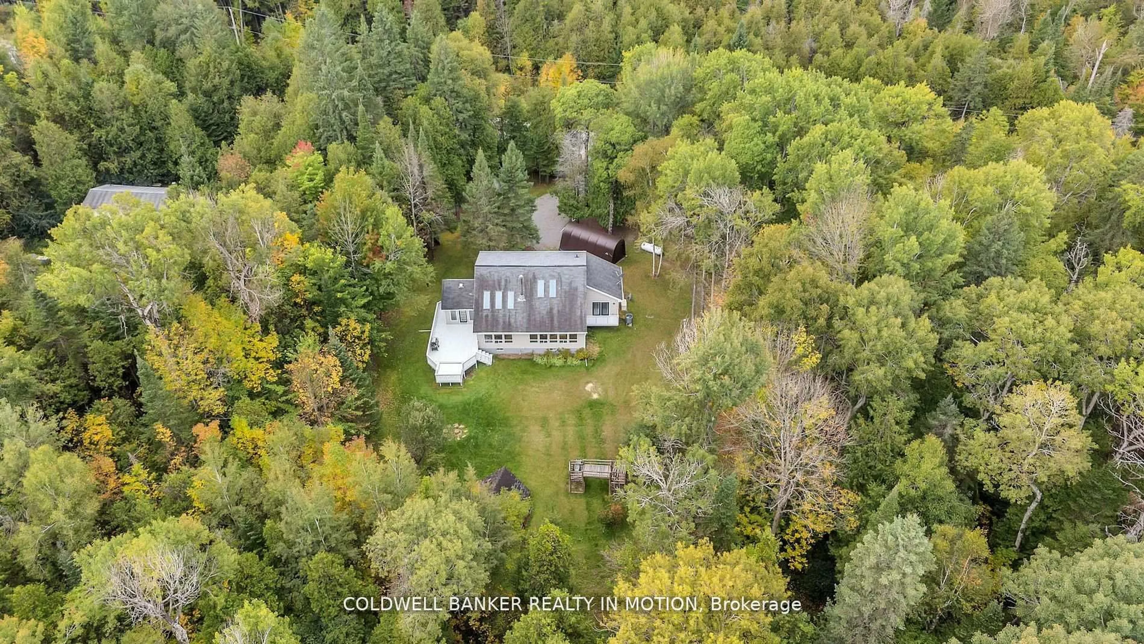 A pic from outside/outdoor area/front of a property/back of a property/a pic from drone, forest/trees view for 504 Birch Point Rd, Kawartha Lakes Ontario K0M 2T0