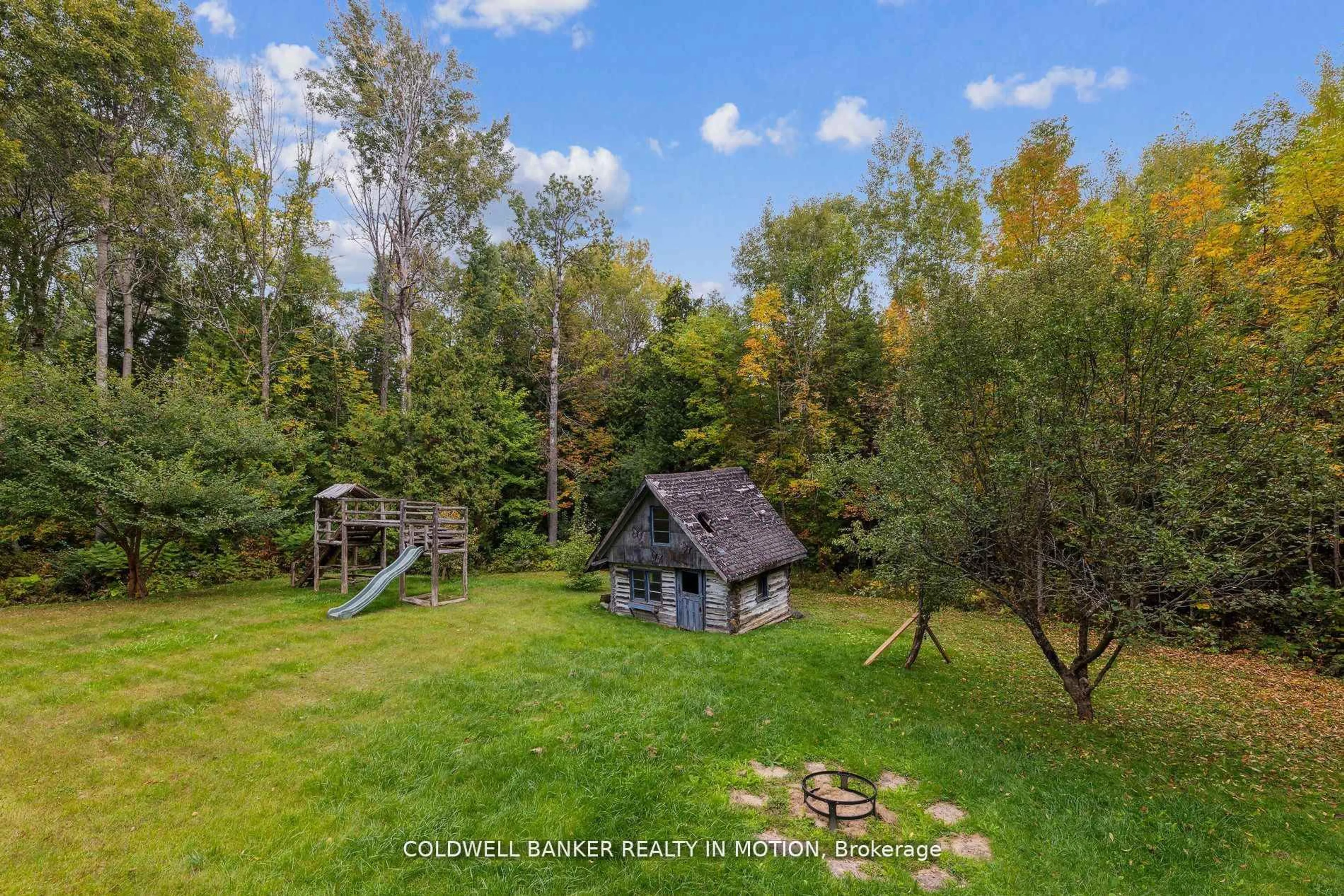 A pic from outside/outdoor area/front of a property/back of a property/a pic from drone, forest/trees view for 504 Birch Point Rd, Kawartha Lakes Ontario K0M 2T0