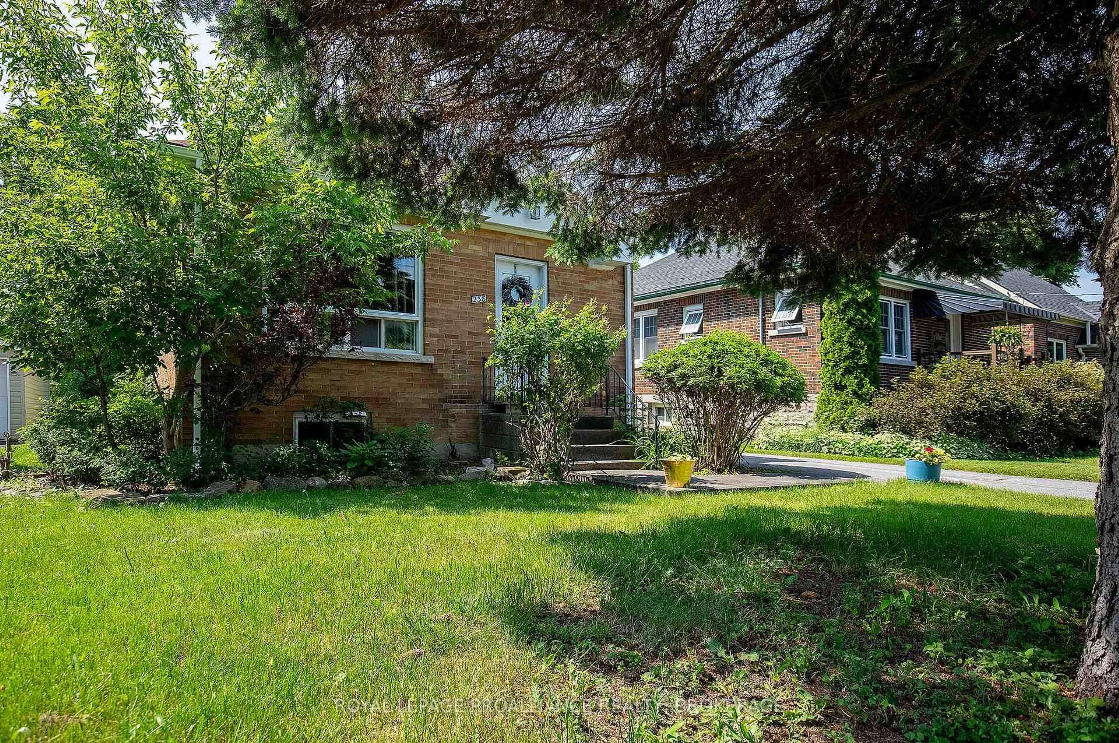 Unknown for 238 Mack St, Kingston Ontario K7L 1P7