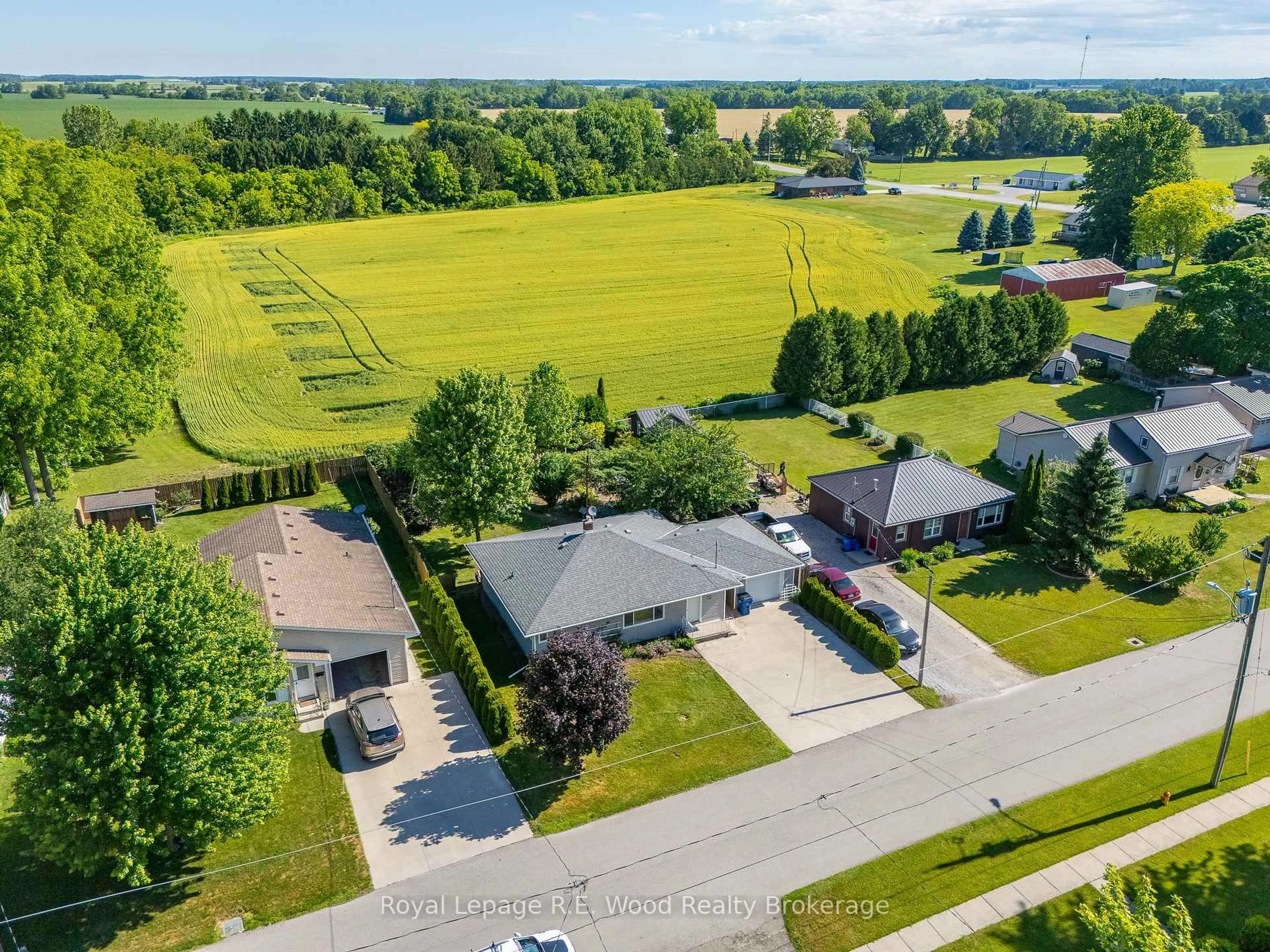 A pic from outside/outdoor area/front of a property/back of a property/a pic from drone, street for 286 Walnut St, Chatham-Kent Ontario N0P 1M0