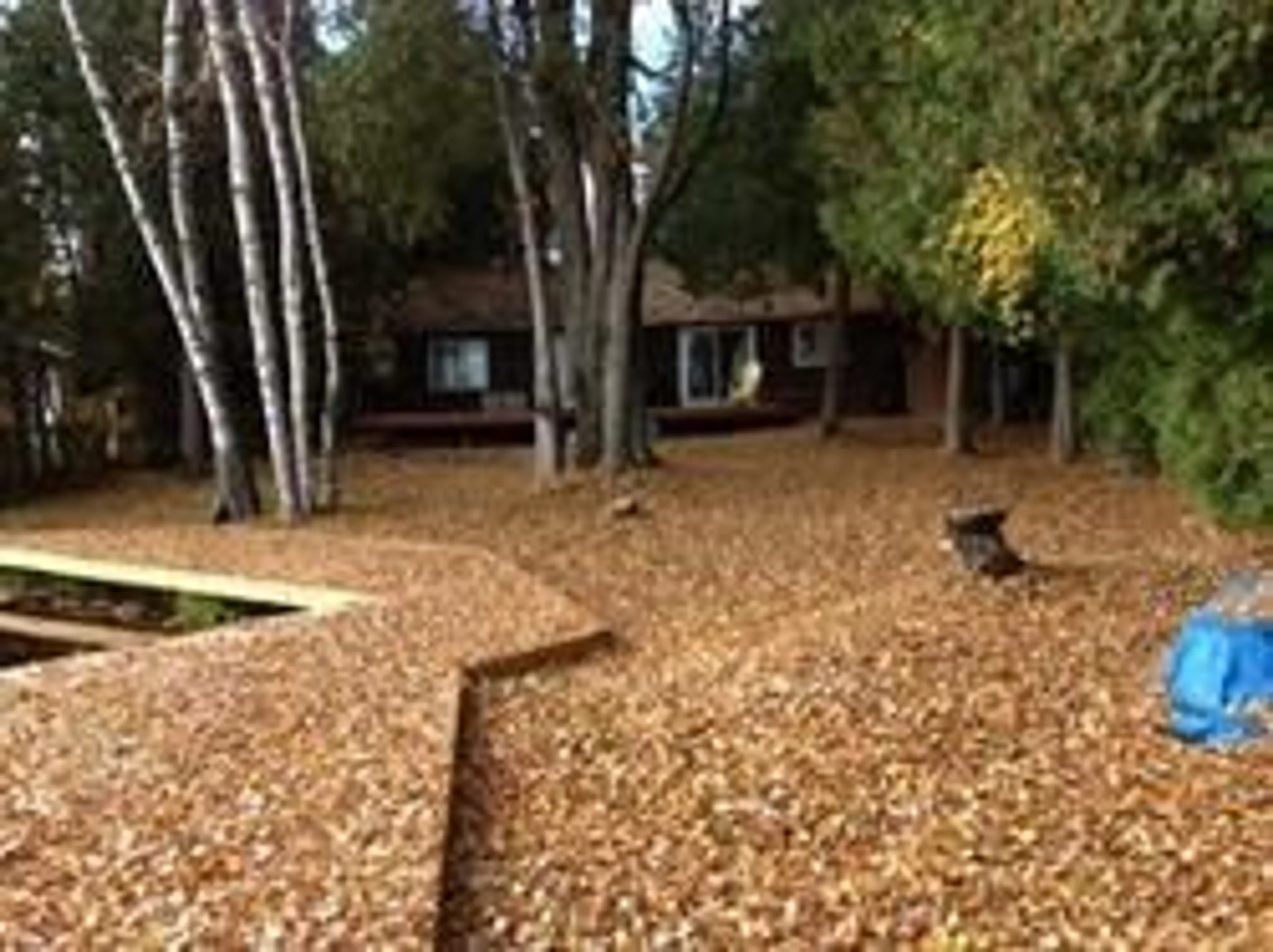 A pic from outside/outdoor area/front of a property/back of a property/a pic from drone, street for 572 Birch Point Rd, Kawartha Lakes Ontario K0M 2T0